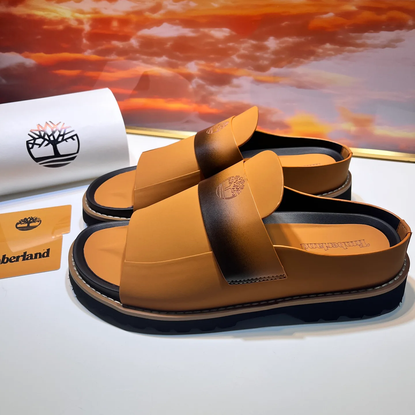 Шлепанцы Мужские Timberland 17955633
