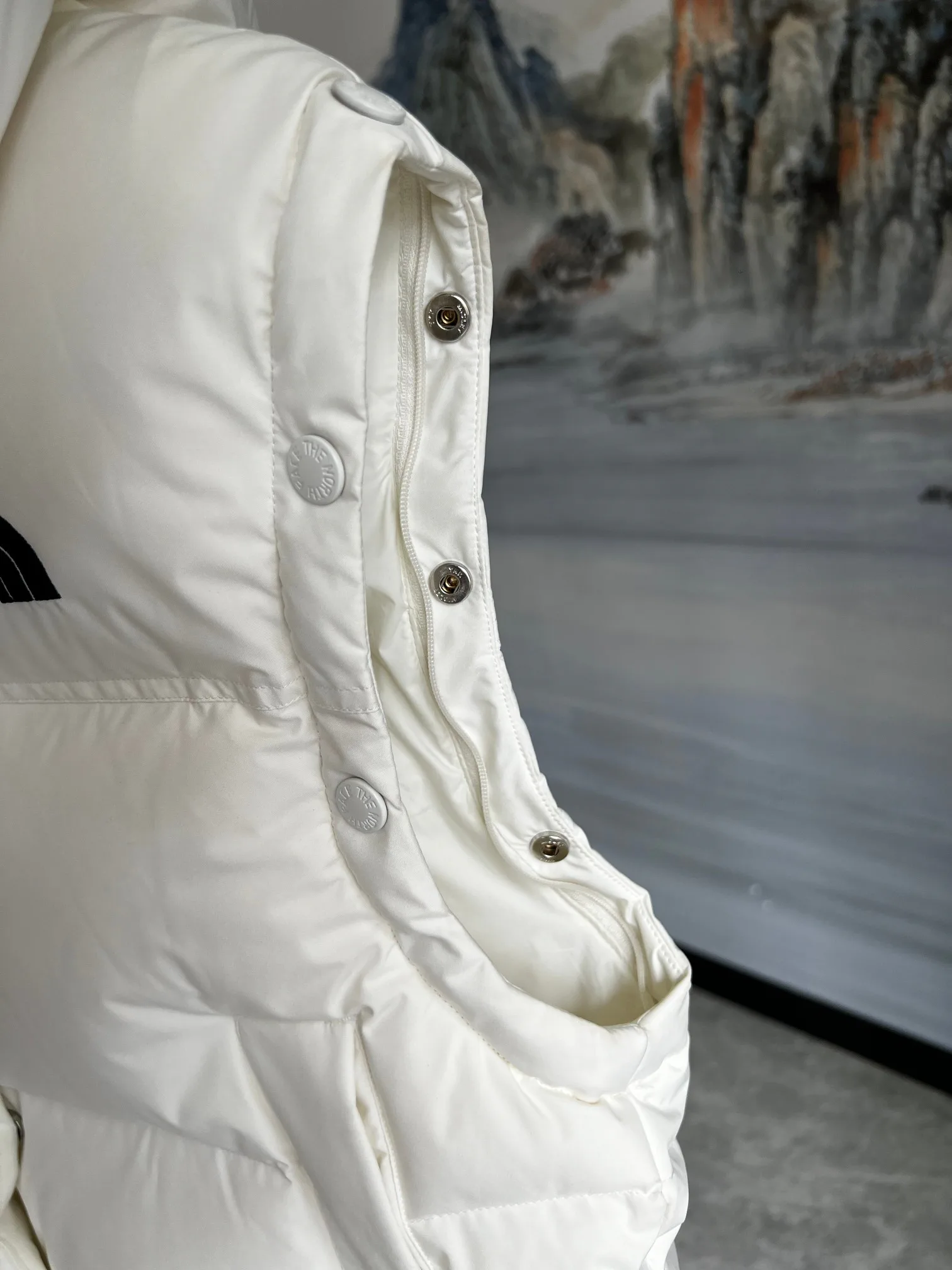 Куртки И Пуховики Женские The North Face 18415959