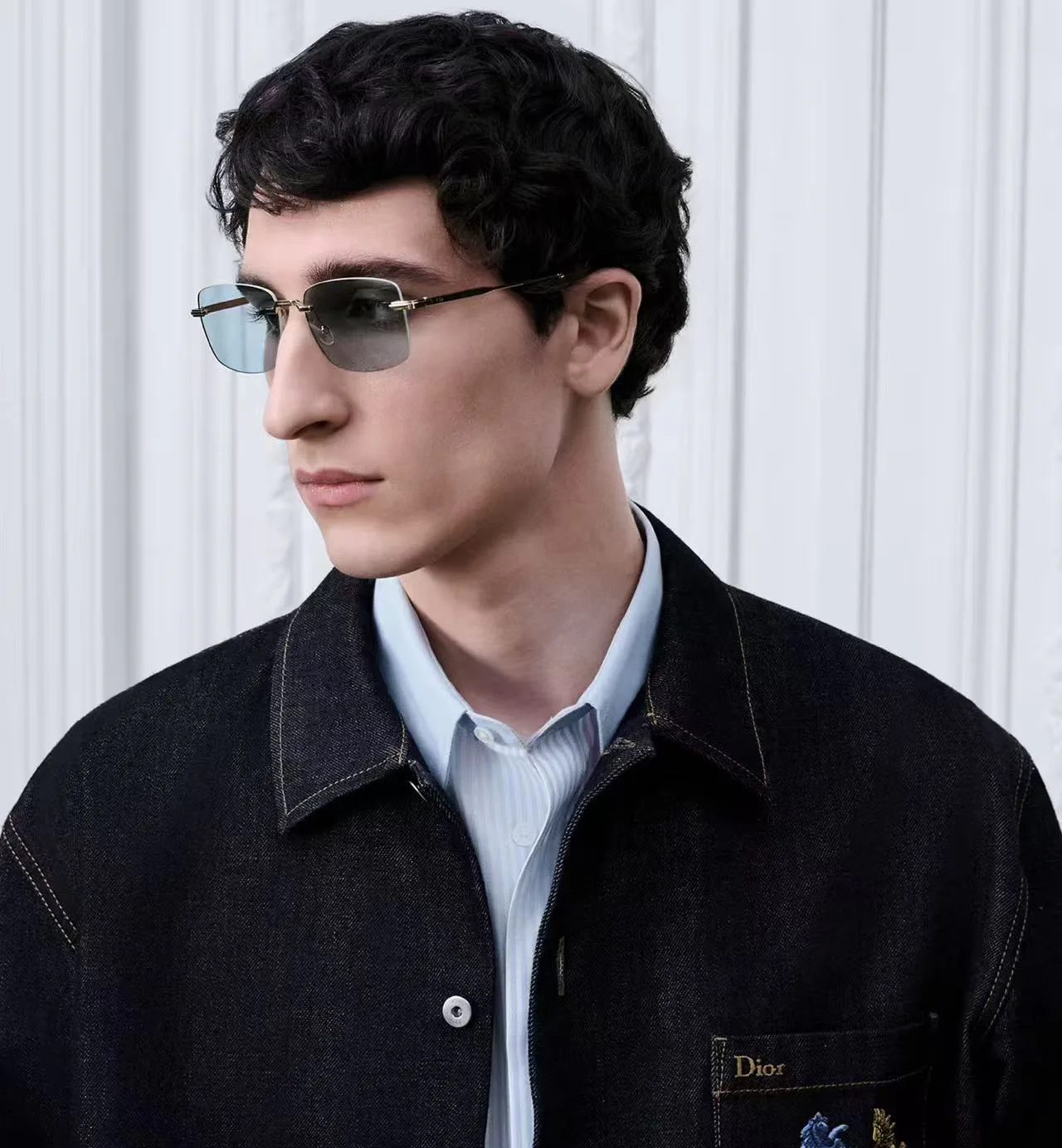 Очки Christian Dior 17320221