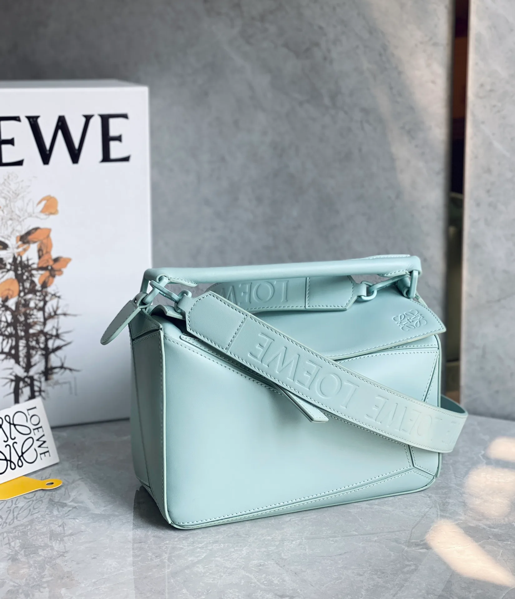 Классические Сумки Женские Loewe 10986854