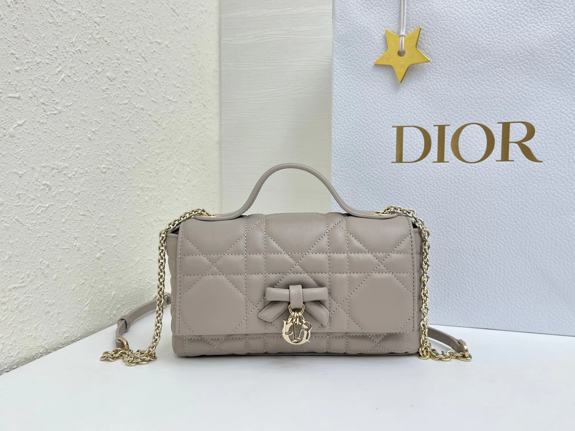 Классические Сумки Женские Christian Dior 17463905