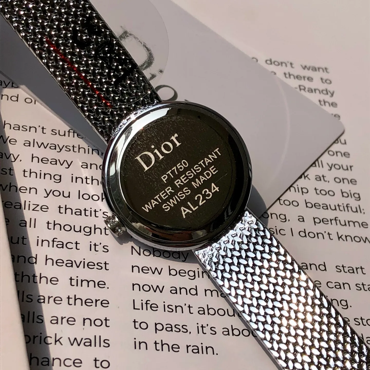 Часы Женские Christian Dior 6419019