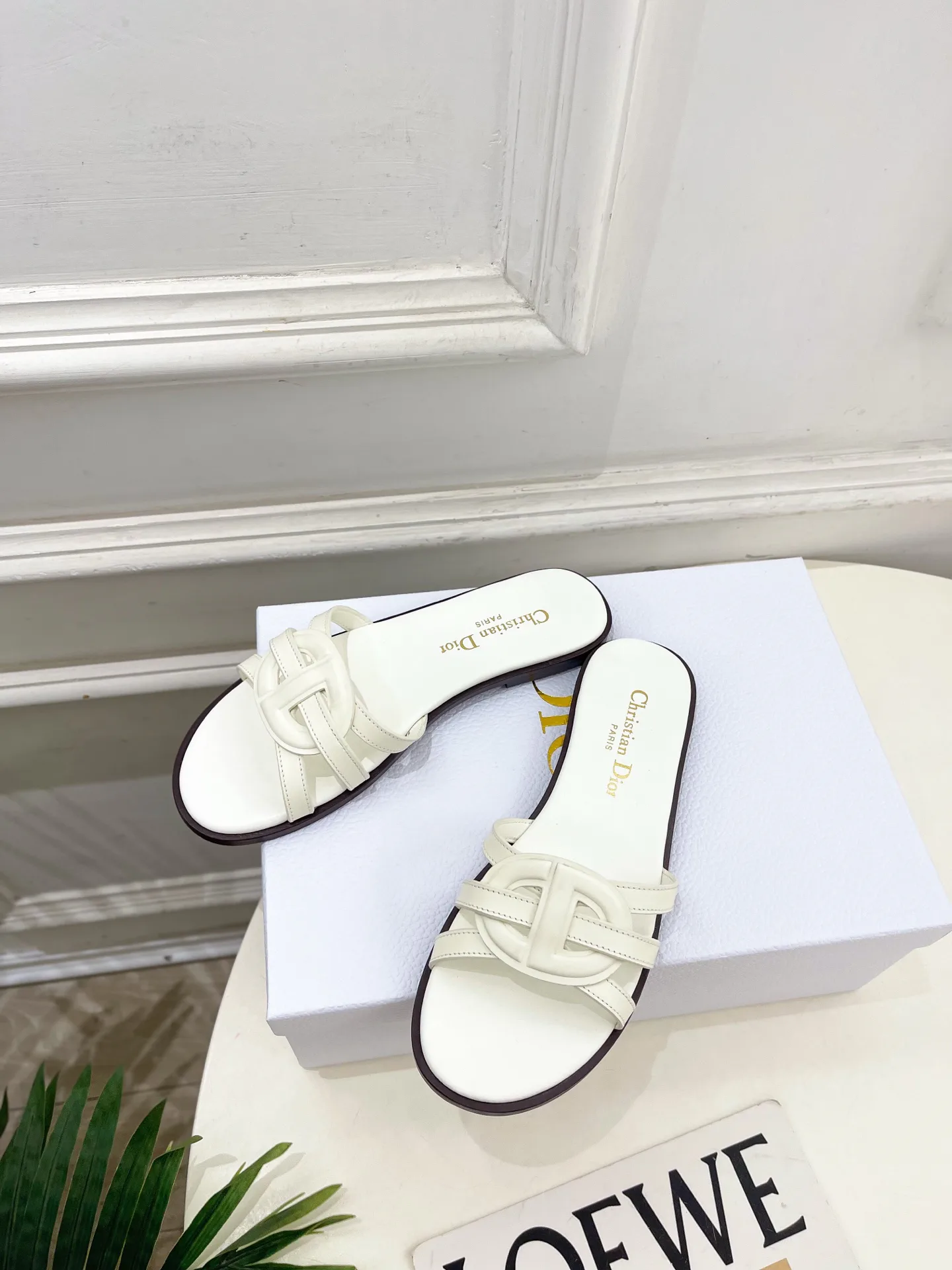 Туфли Женские Christian Dior 12601461