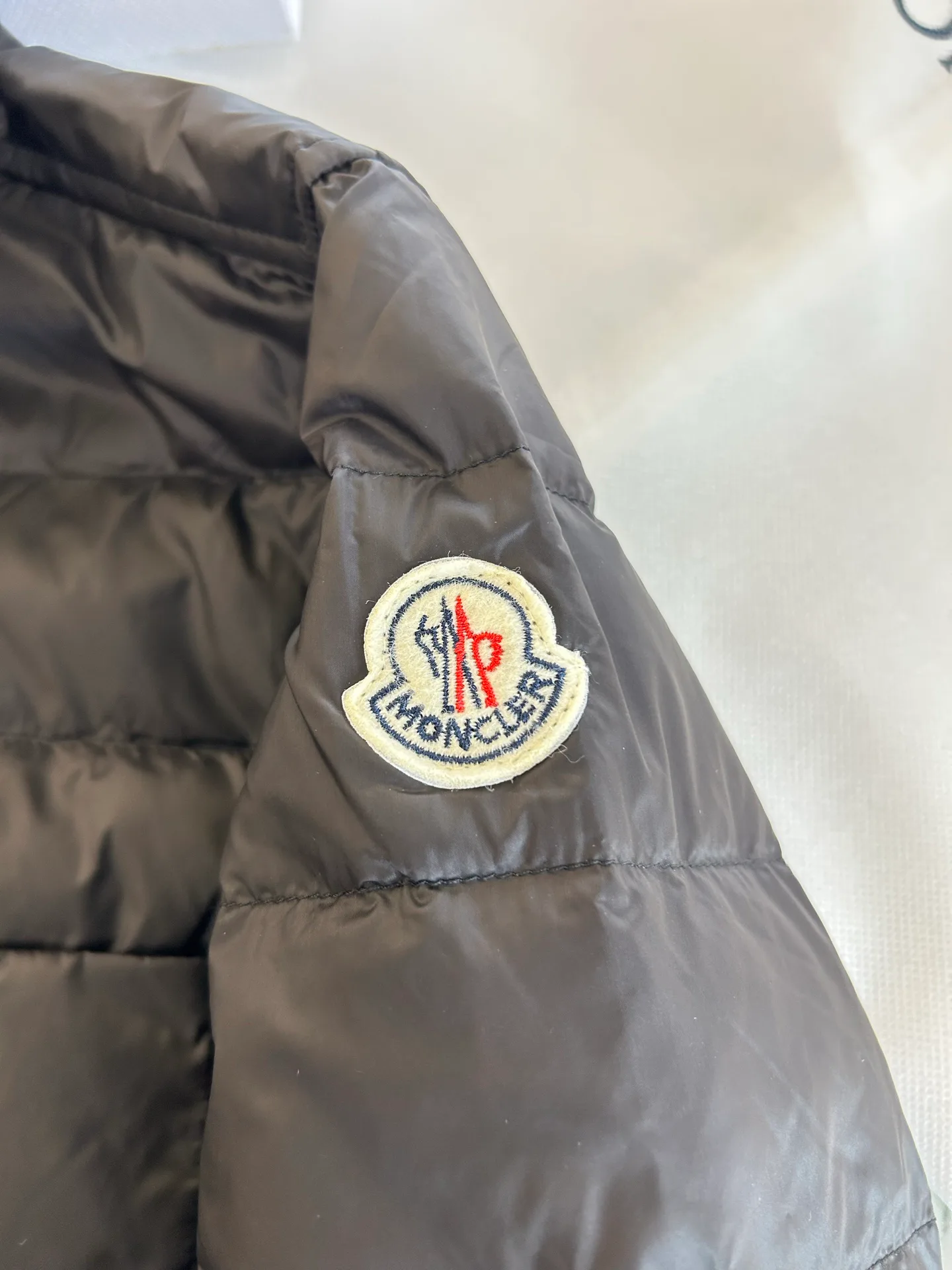 Куртки И Пуховики Мужские Moncler 18231322