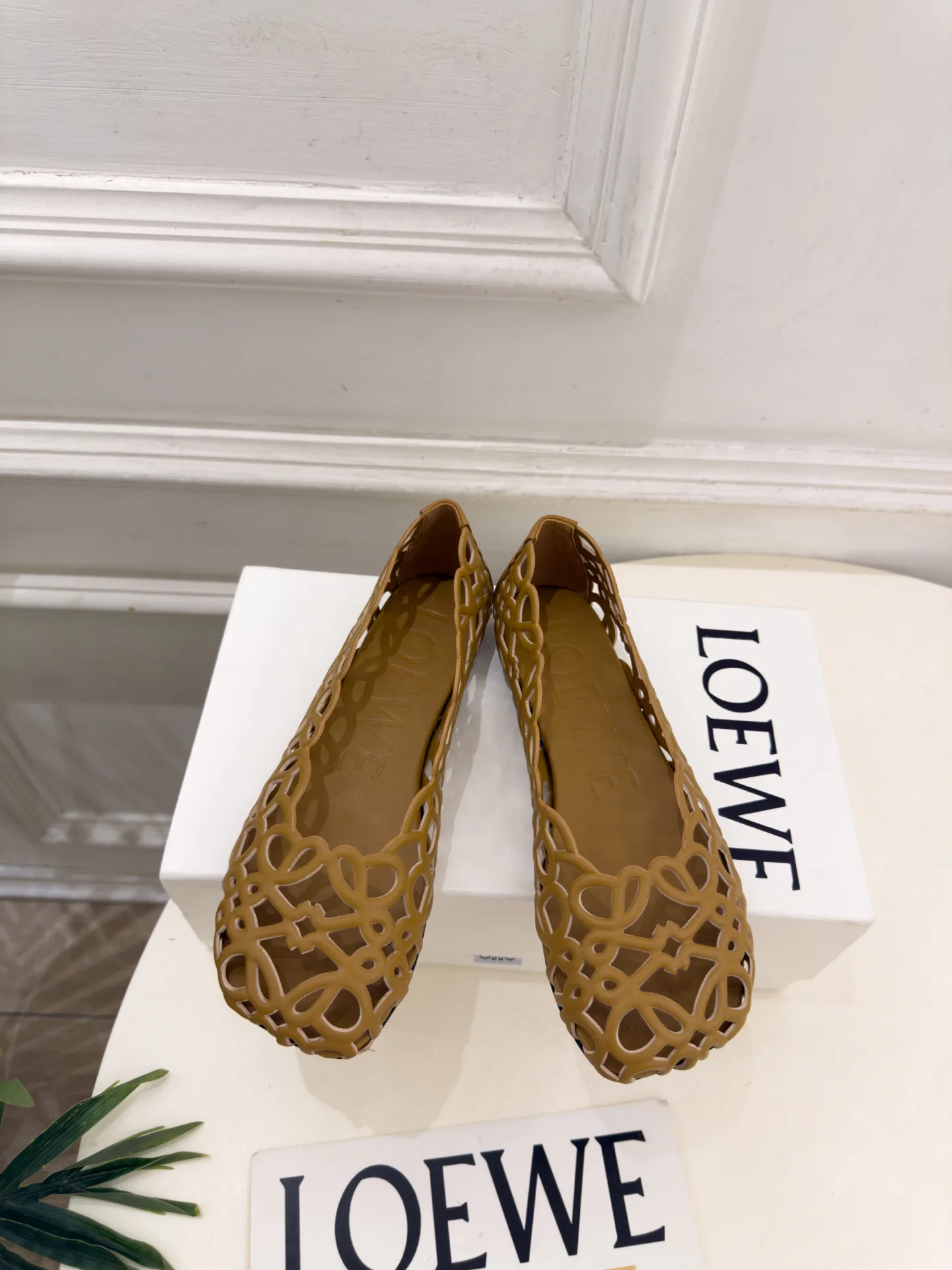 Балетки Женские Loewe 18198363