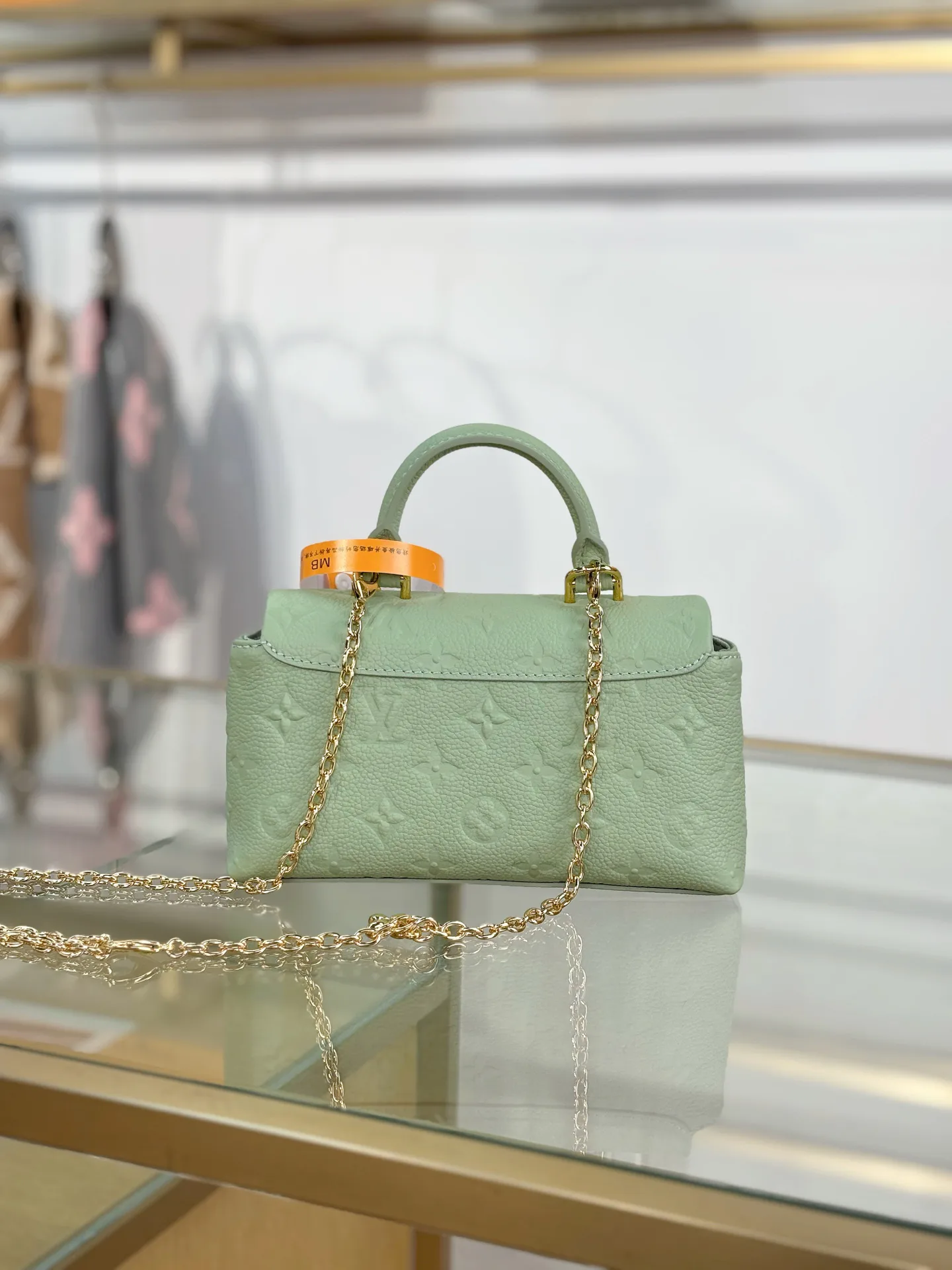 Классические Сумки Женские Louis Vuitton 17979805