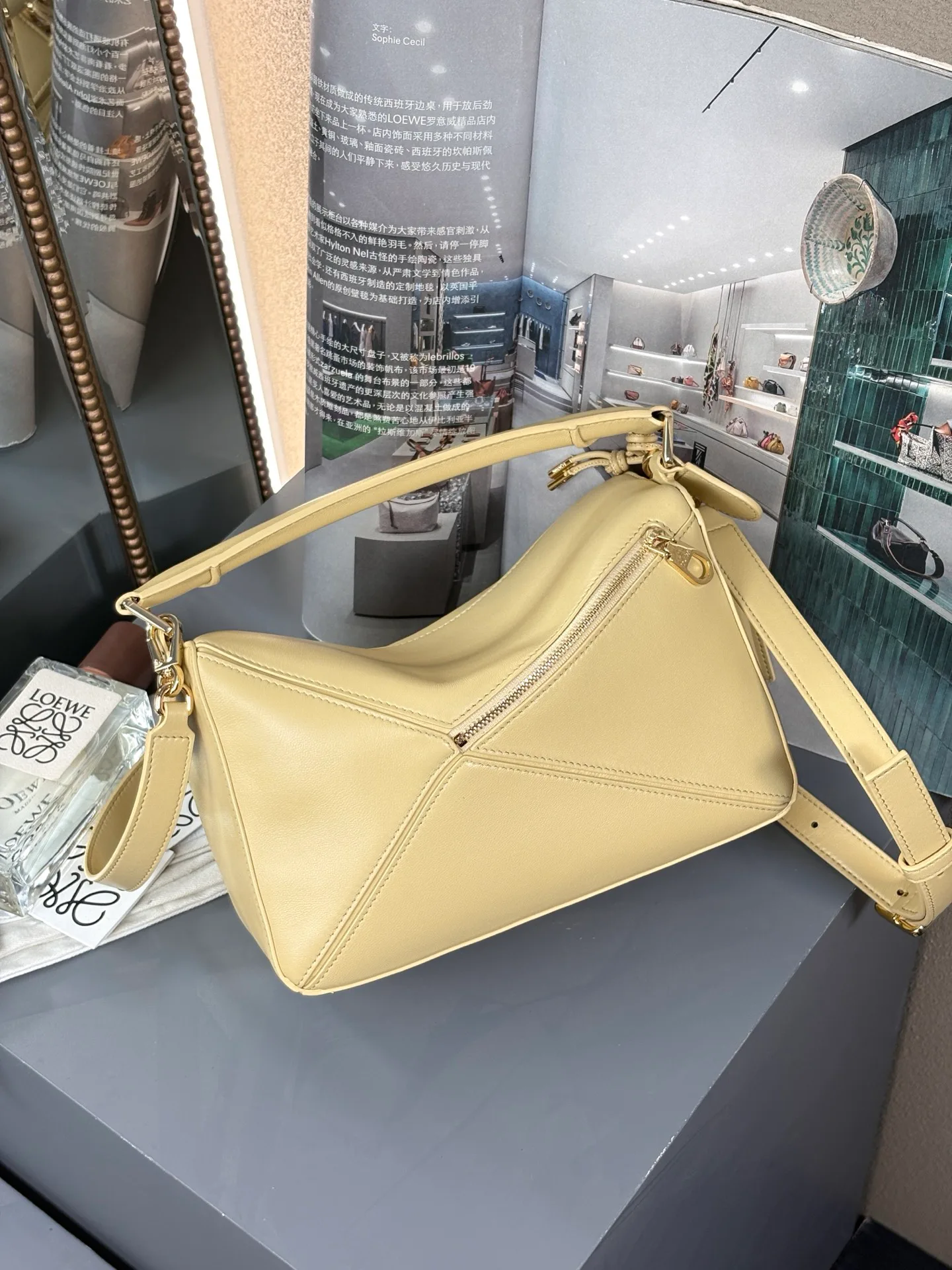 Сумки На Ремне Женские Loewe 115450