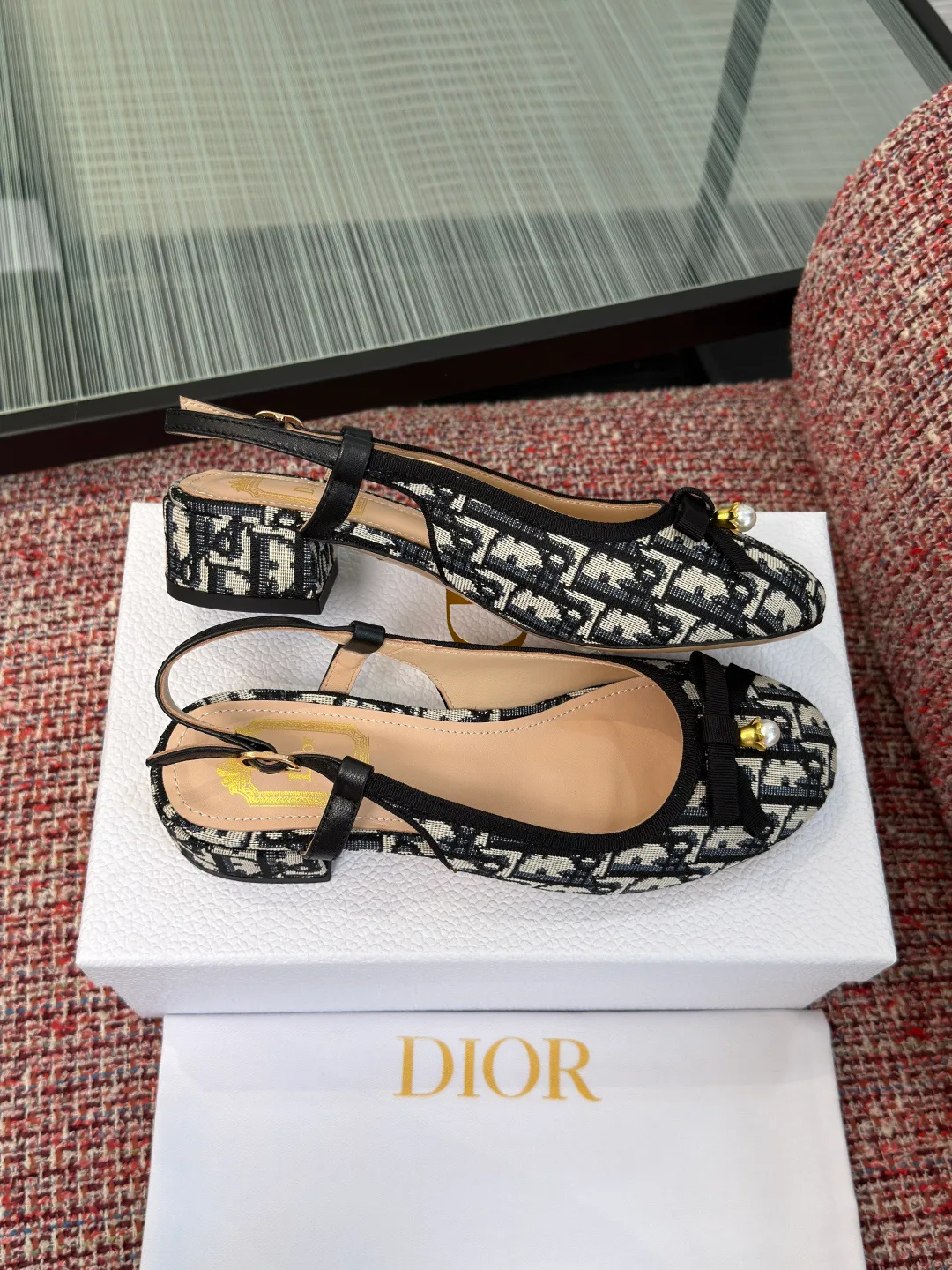 Туфли Женские Christian Dior 17571620