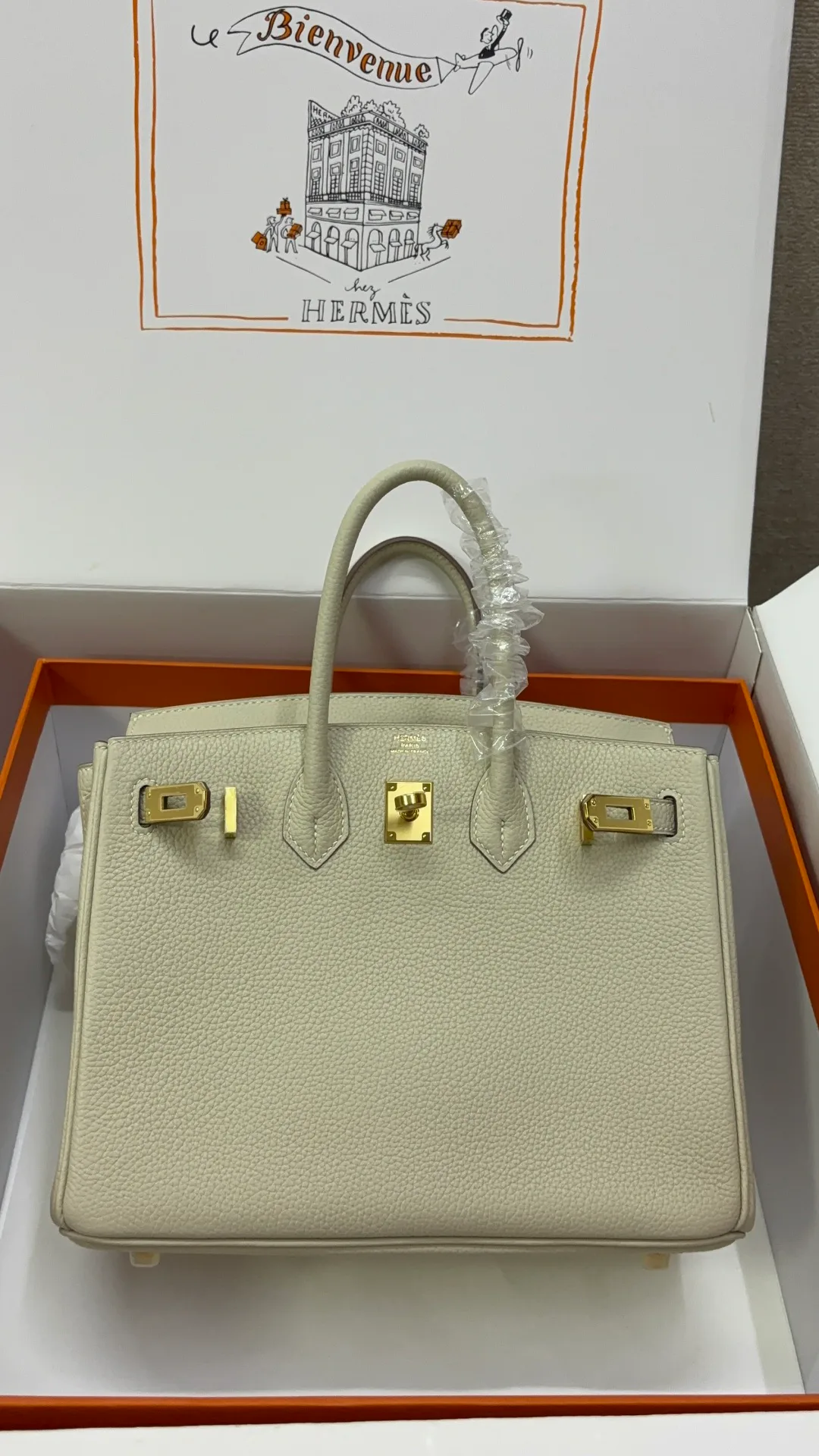 Классические Сумки Женские Hermes 17520168