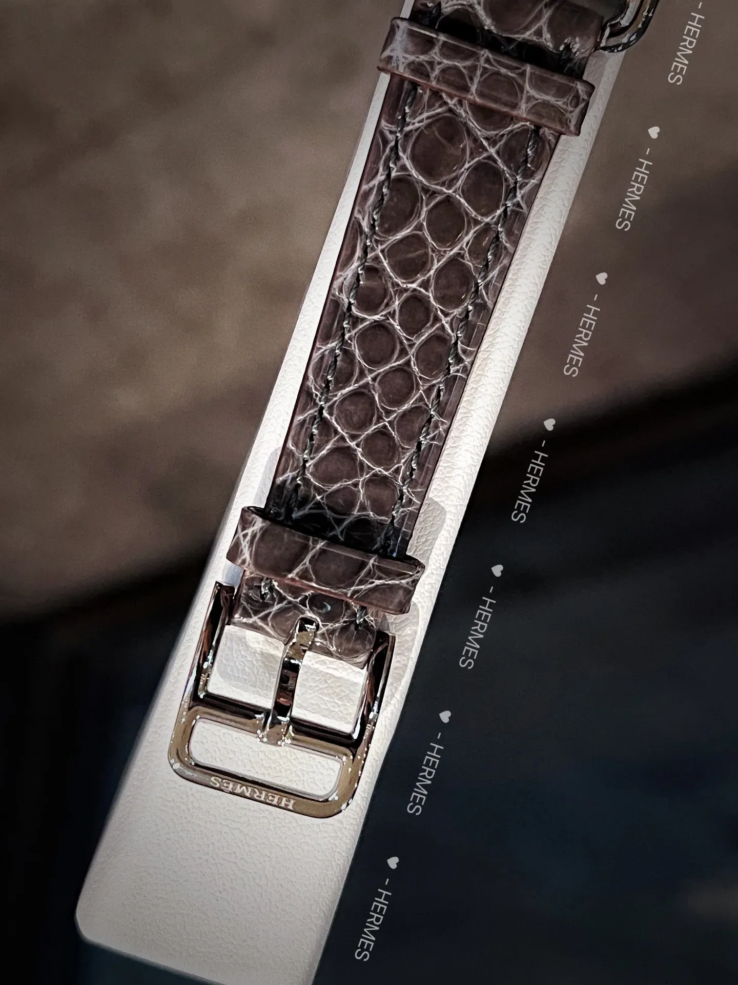 Часы Женские Hermes 1034152