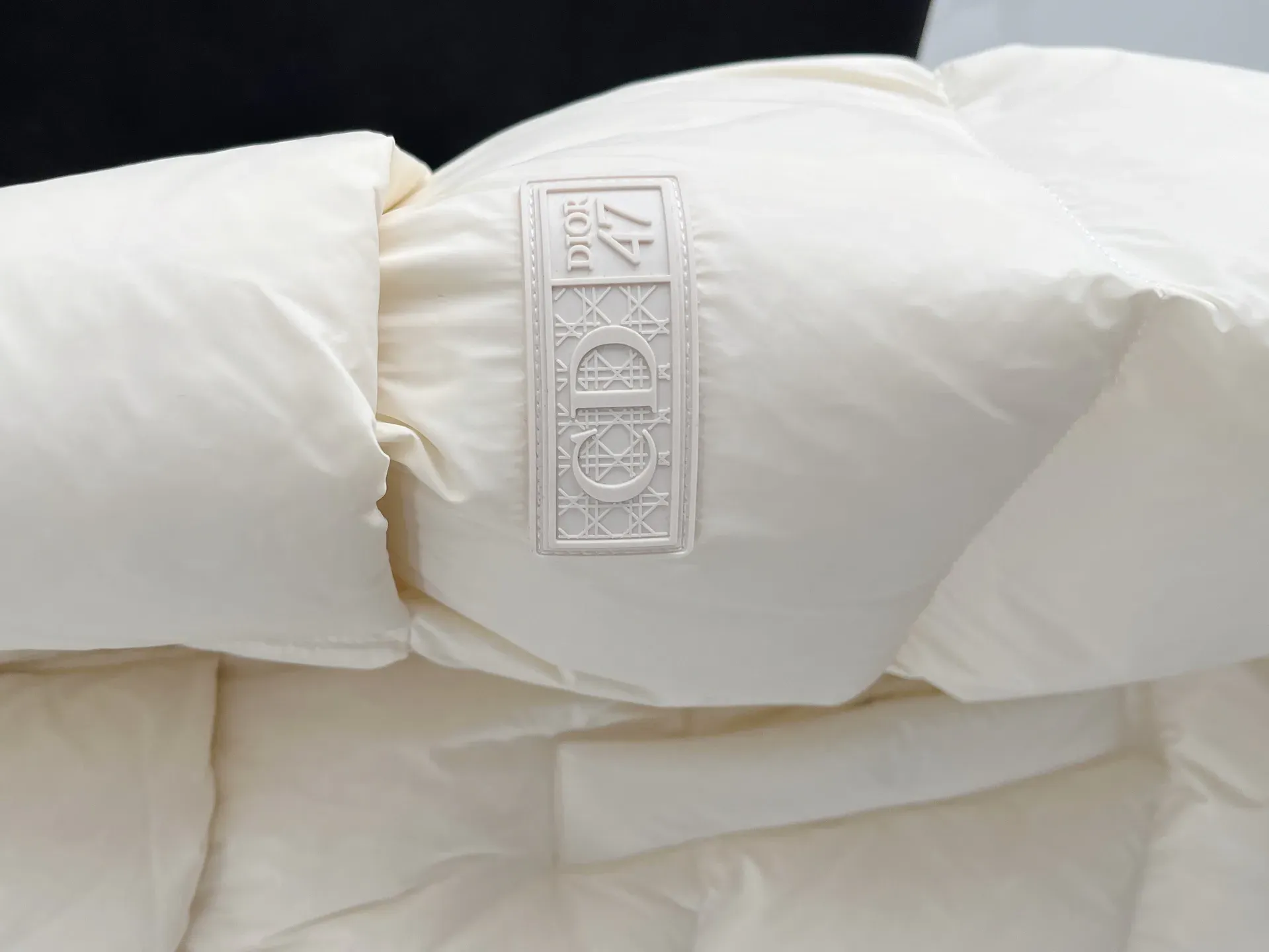 Куртки И Пуховики Мужские Christian Dior 282827