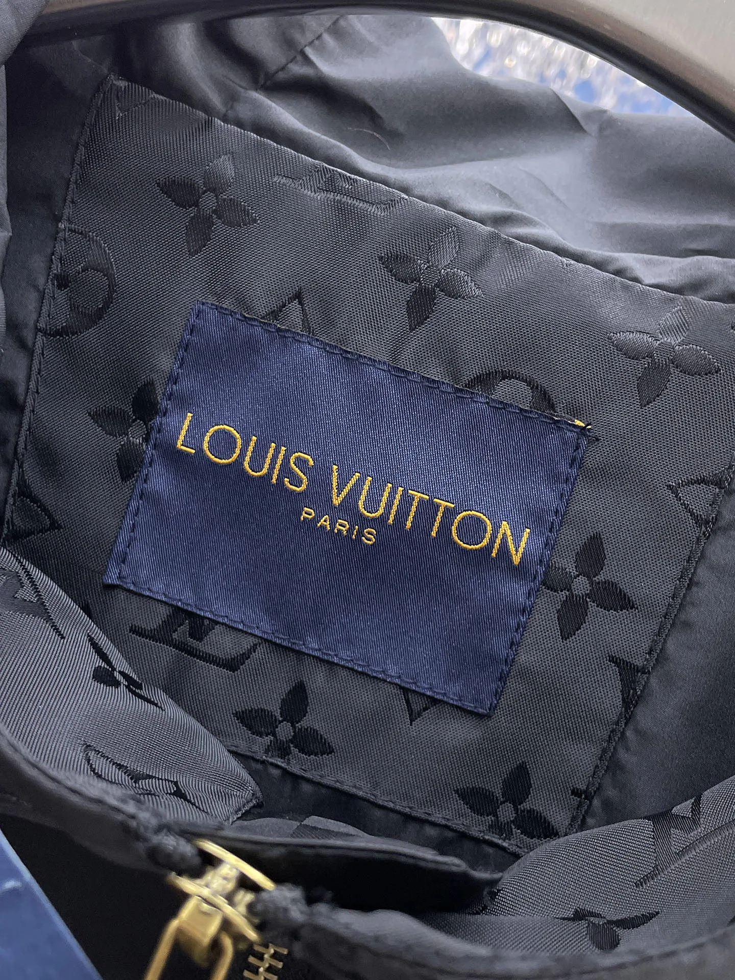 Куртки И Пуховики Мужские Louis Vuitton 9352351