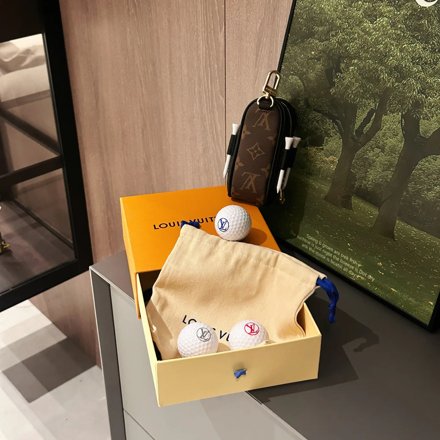 Поясные Сумки Женские Louis Vuitton 11272266