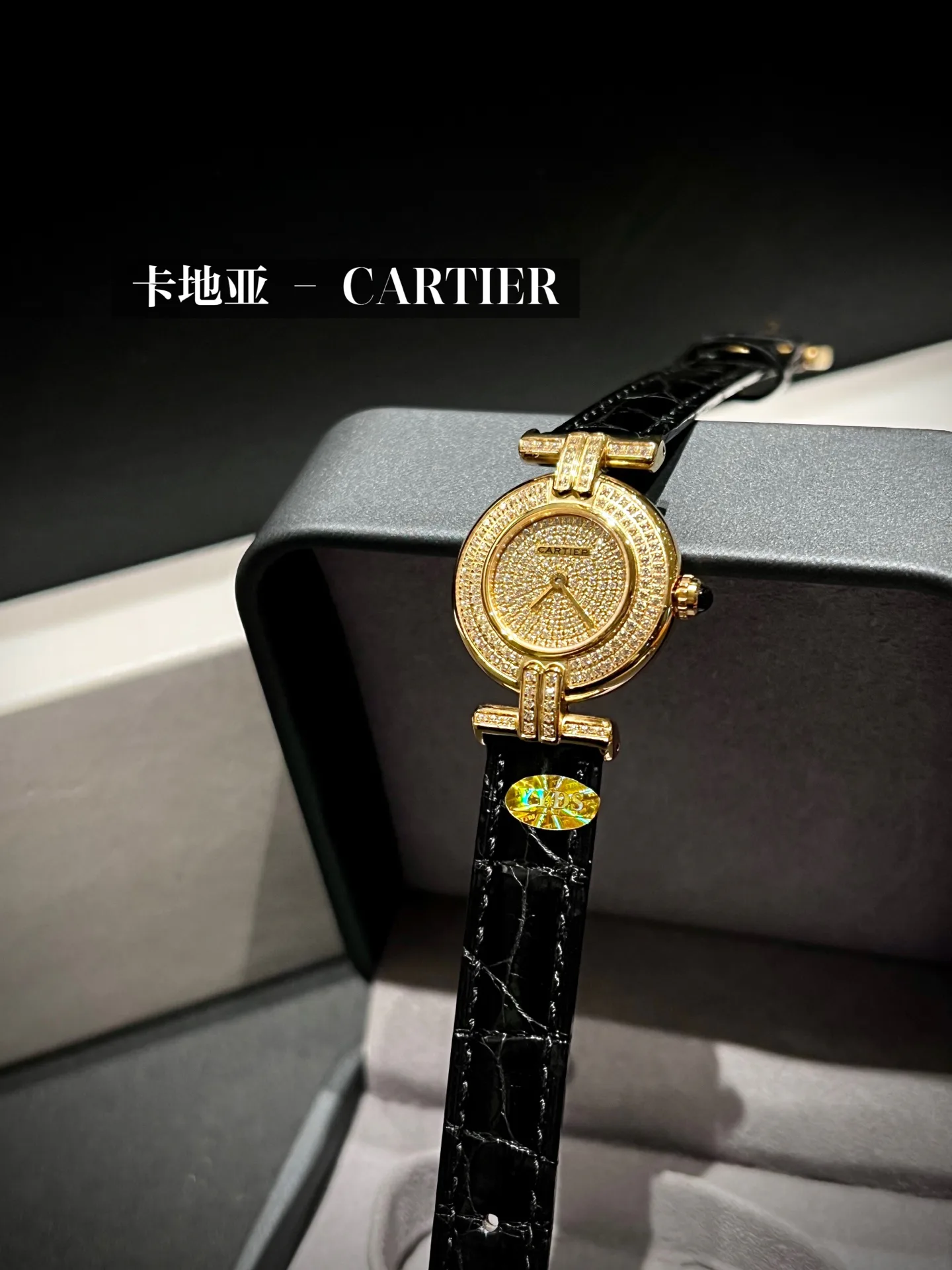 Часы Женские Cartier 5564914