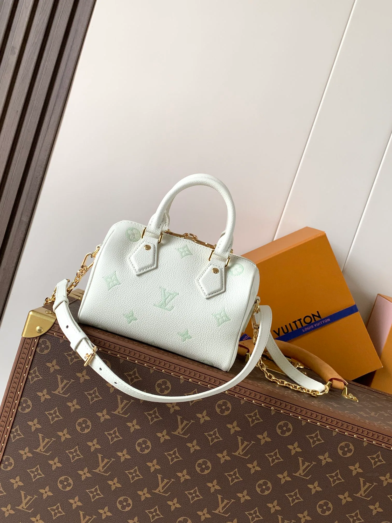 Классические Сумки Женские Louis Vuitton 11872293