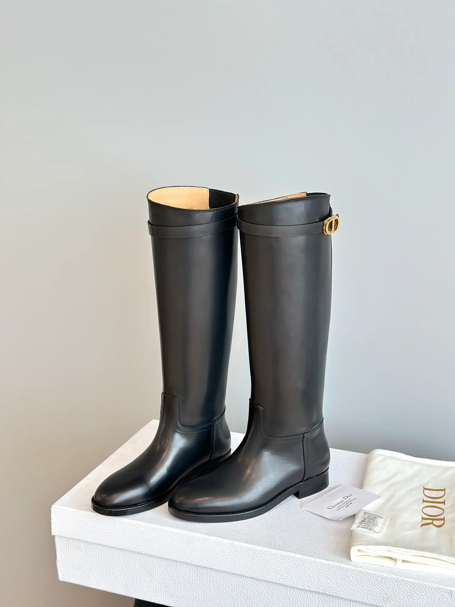 Сапоги Женские Christian Dior 18243654