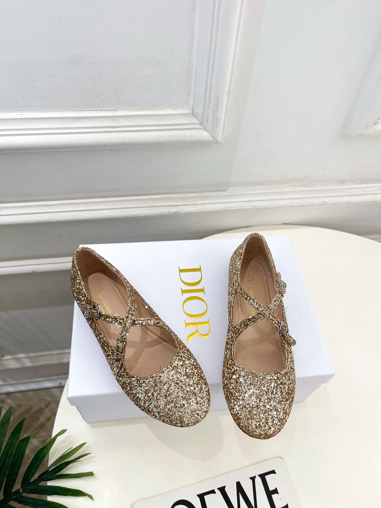 Балетки Женские Christian Dior 12601476