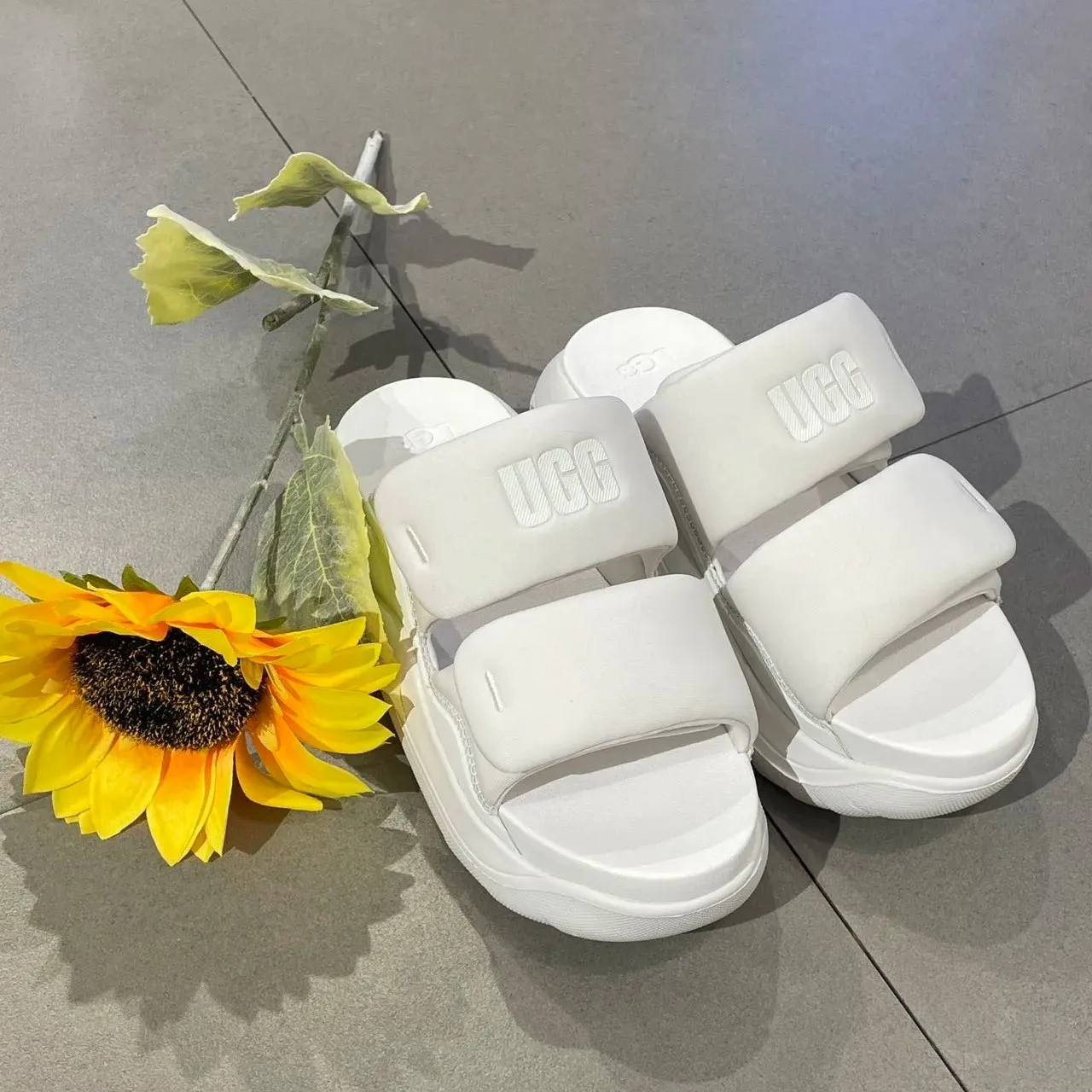 Шлепанцы Женские Ugg 302087