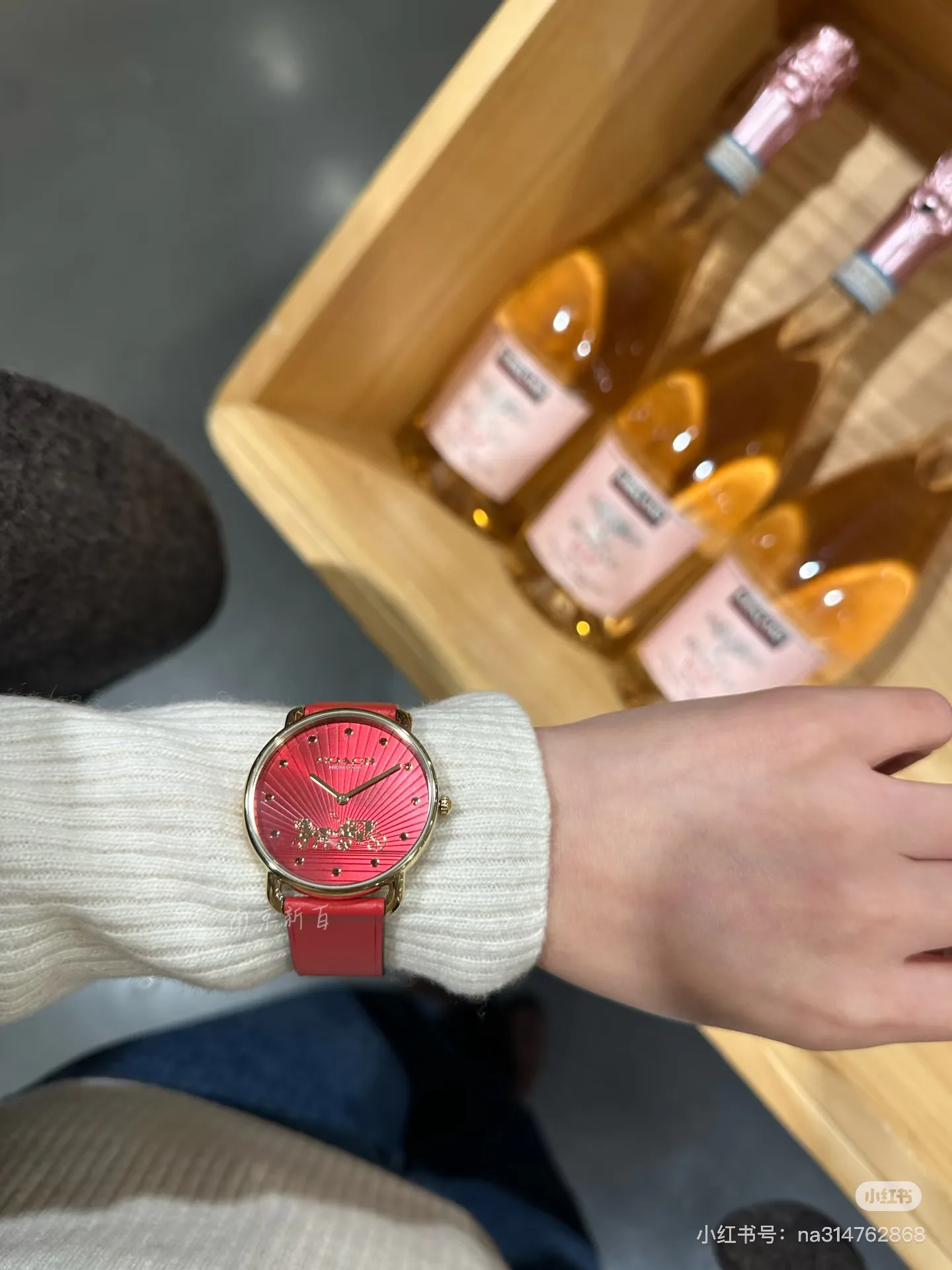 Часы Женские Coach 3409377