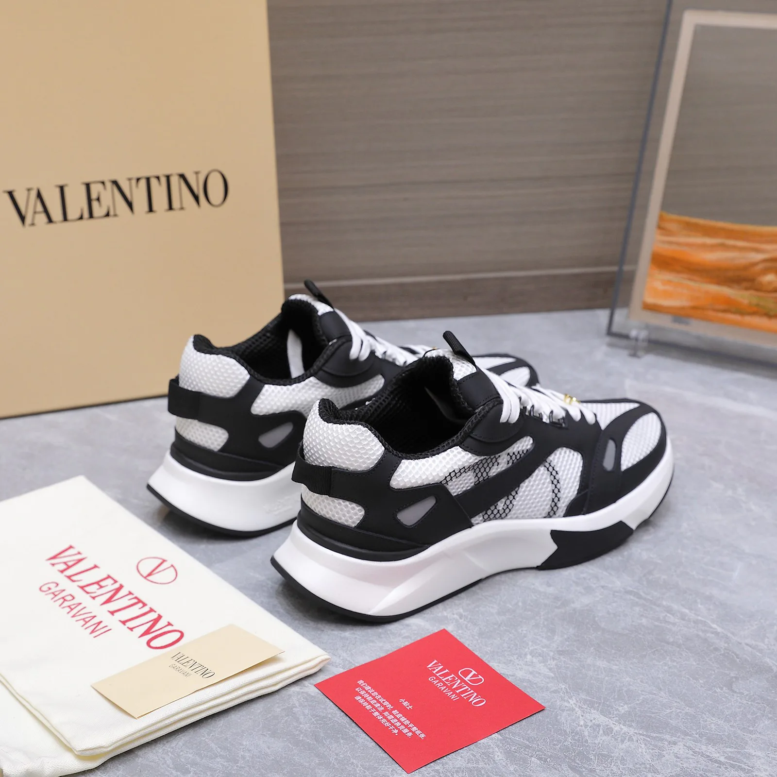 Кроссовки Мужские Valentino 17604591