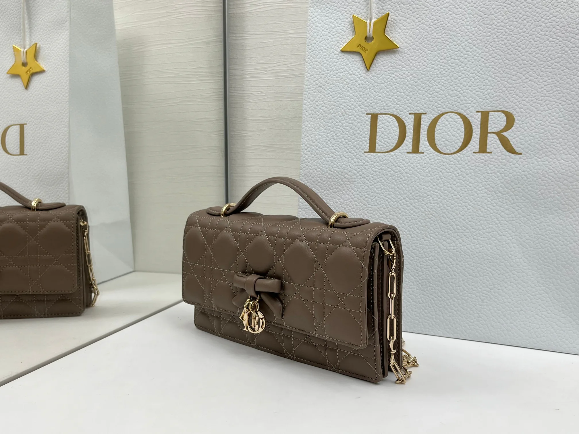 Классические Сумки Женские Christian Dior 11669071