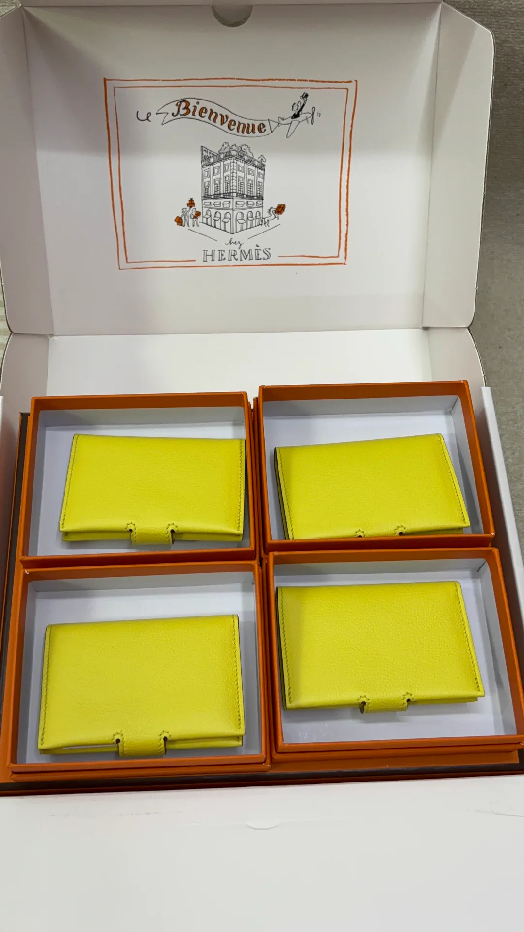 Клатчи Женские Hermes 17566533