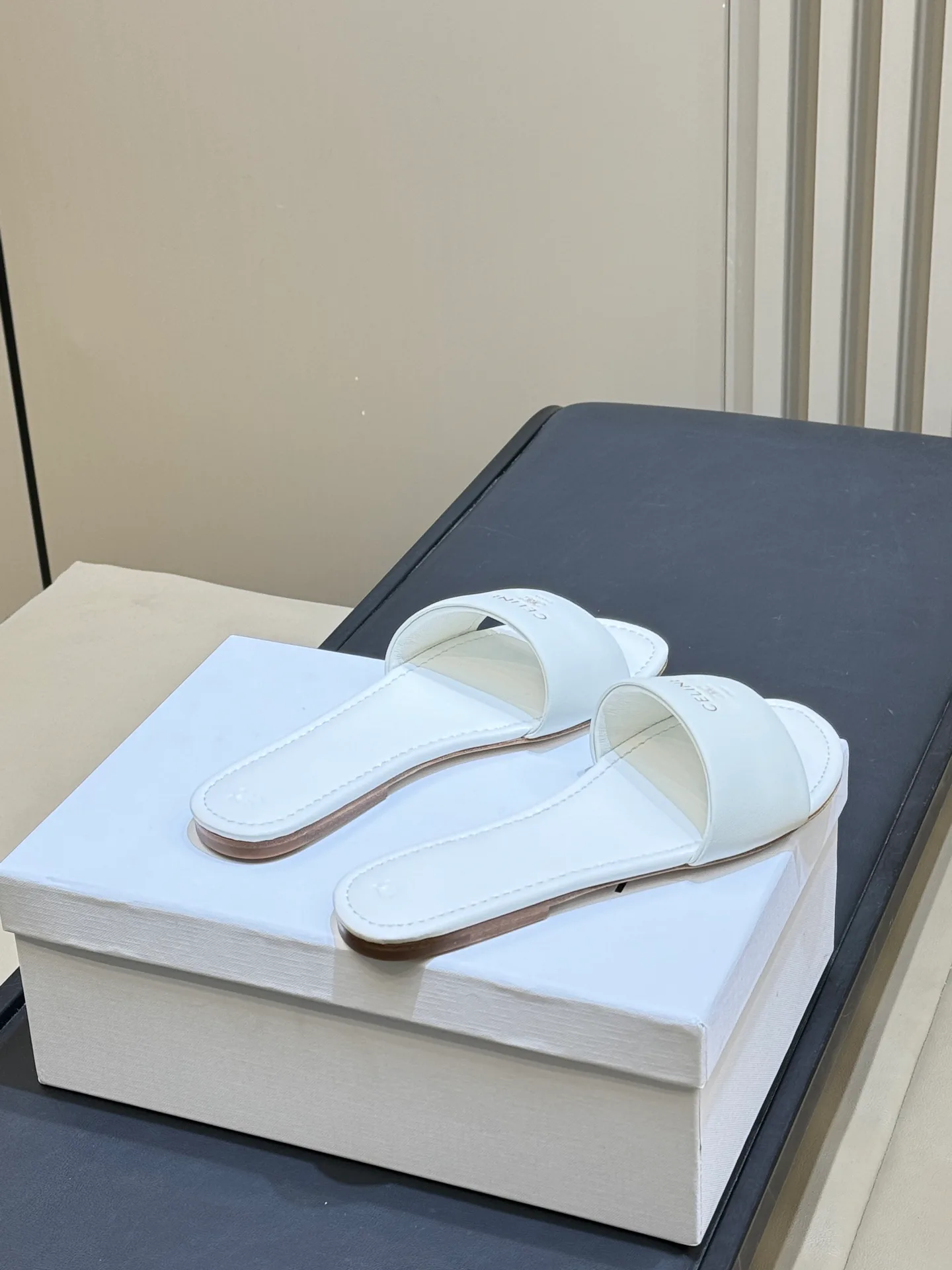 Шлепанцы Женские Celine 5024401