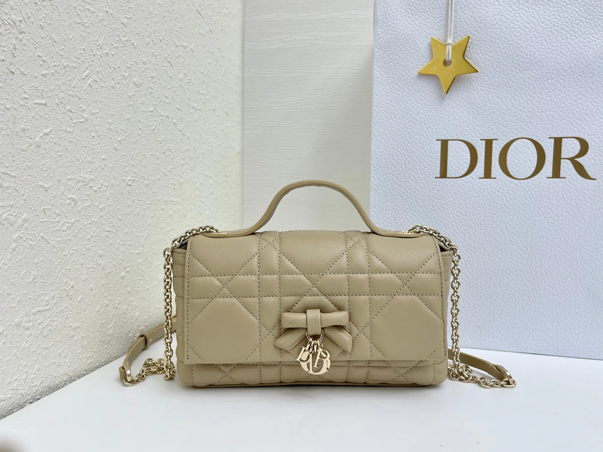Классические Сумки Женские Christian Dior 17463900