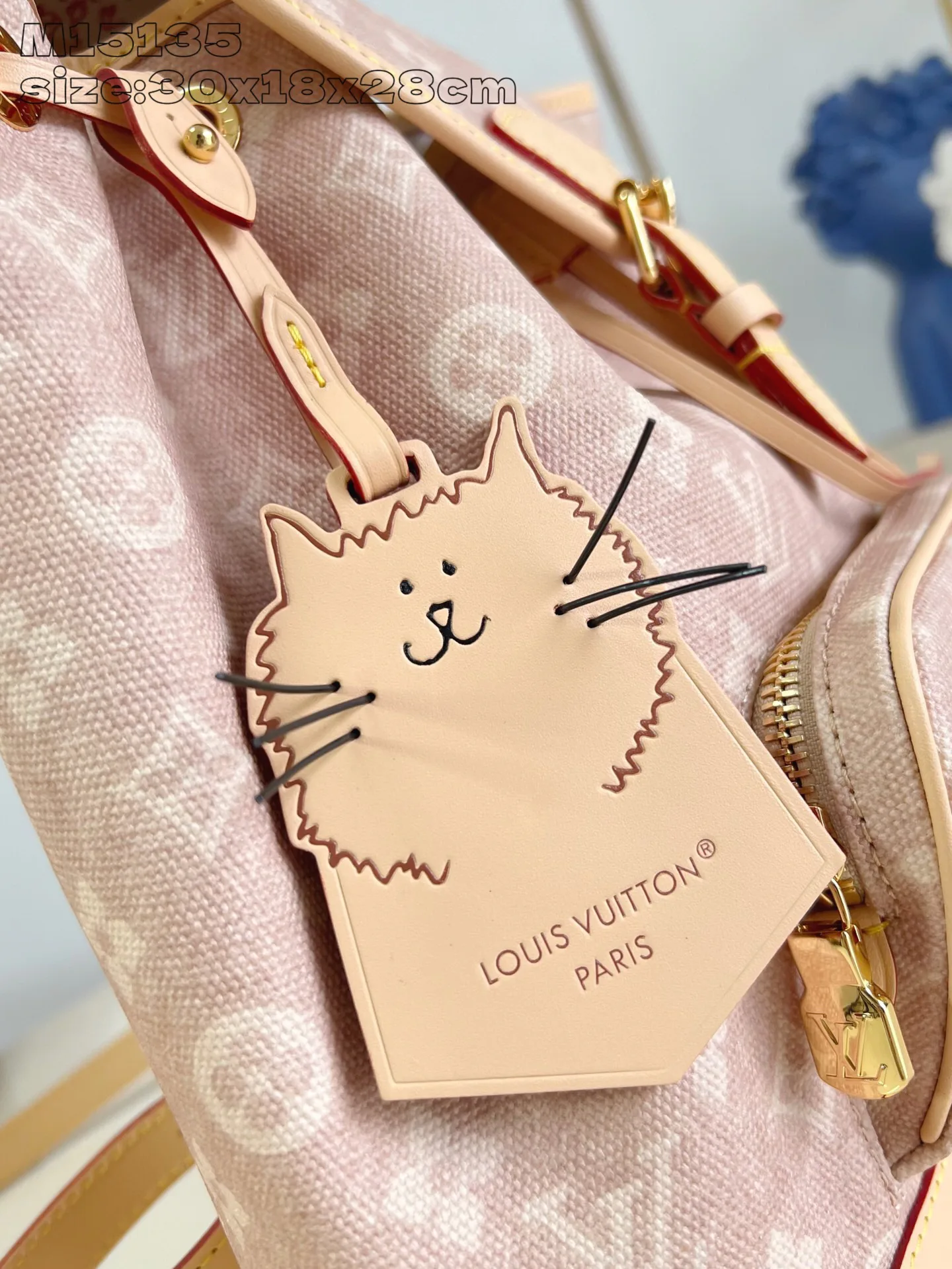 Рюкзаки Женские Louis Vuitton 290459