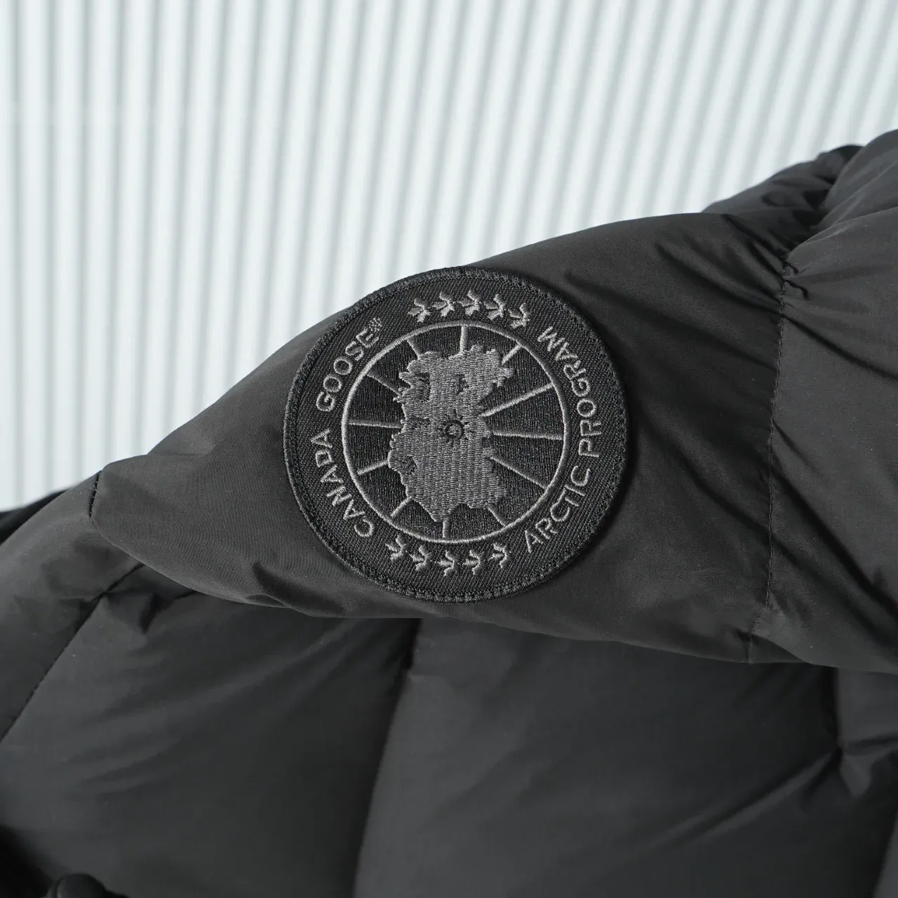 Куртки Женские Canada Goose 304816