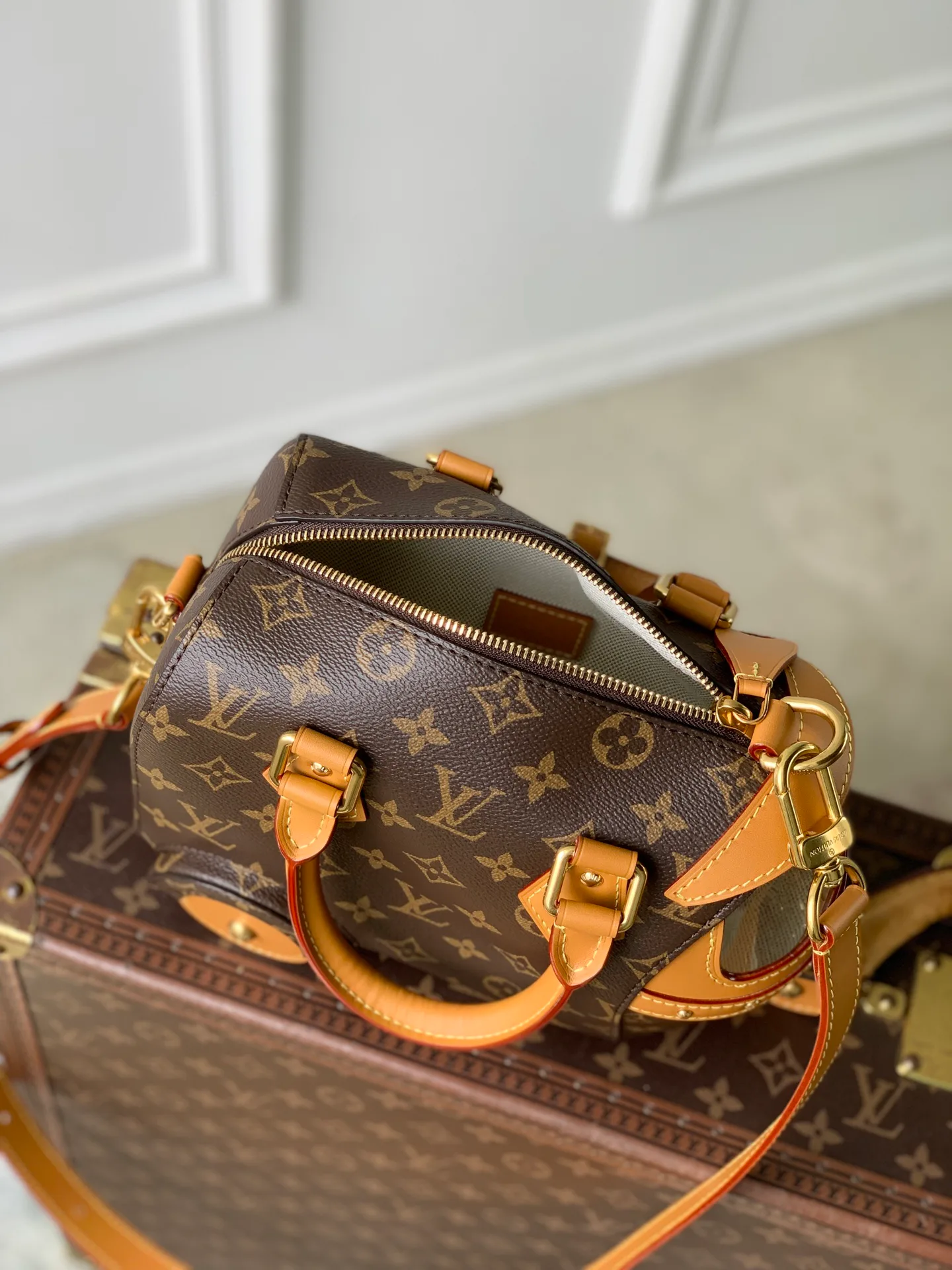 Классические Сумки Женские Louis Vuitton 18147437