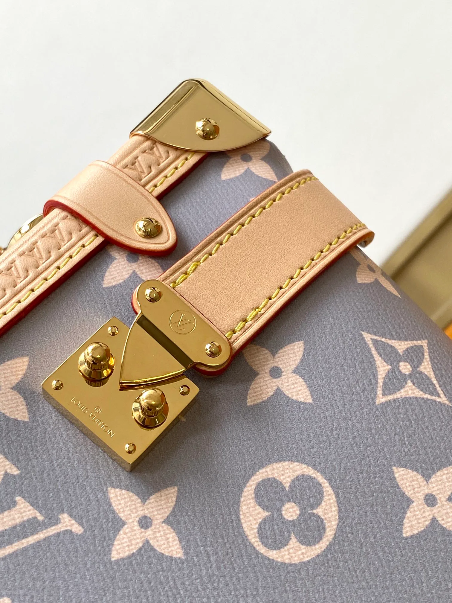 Классические Сумки Женские Louis Vuitton 11872298