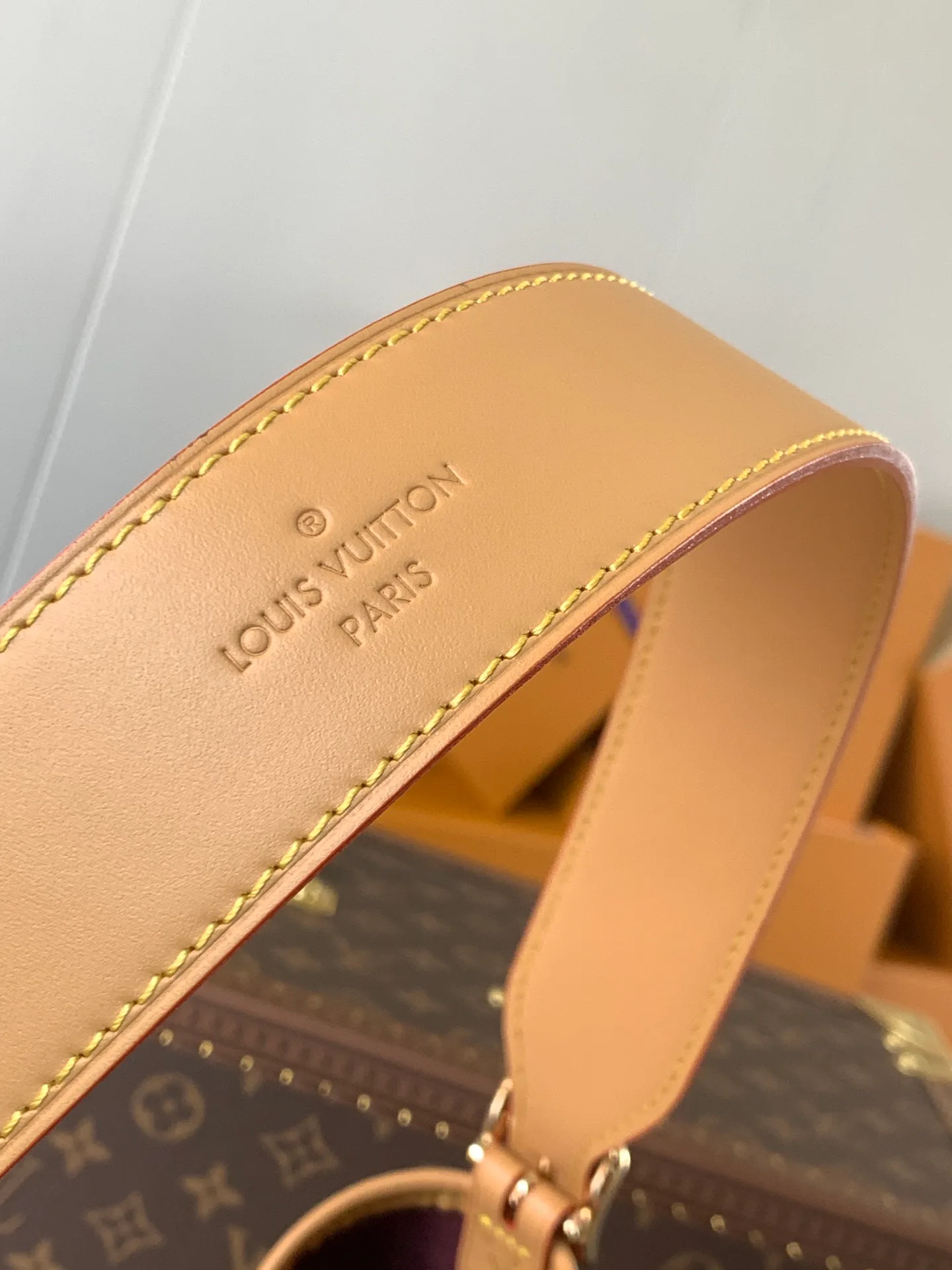 Классические Сумки Женские Louis Vuitton 11394875