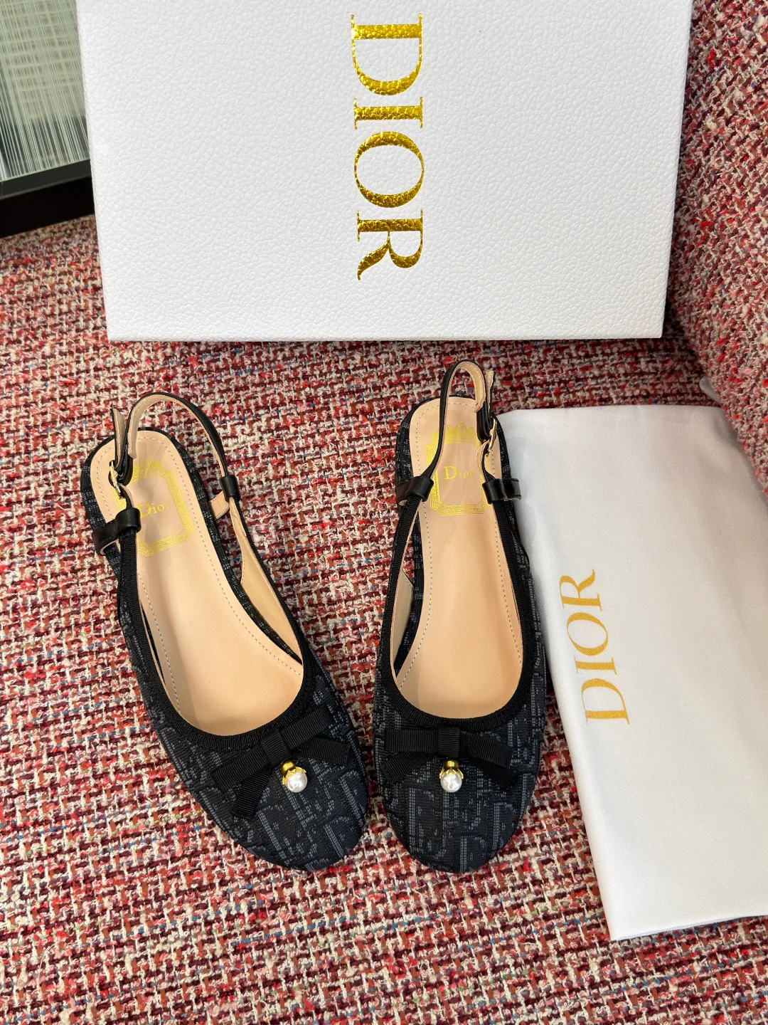 Туфли Женские Christian Dior 17571621