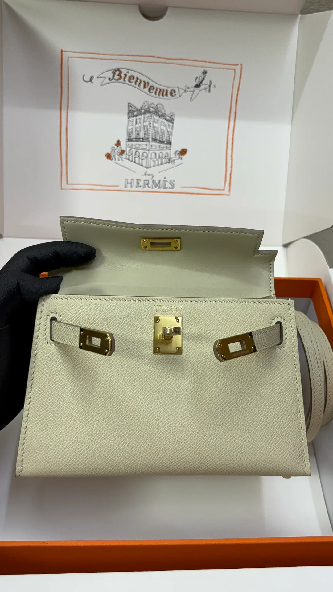 Клатчи Женские Hermes 12253693