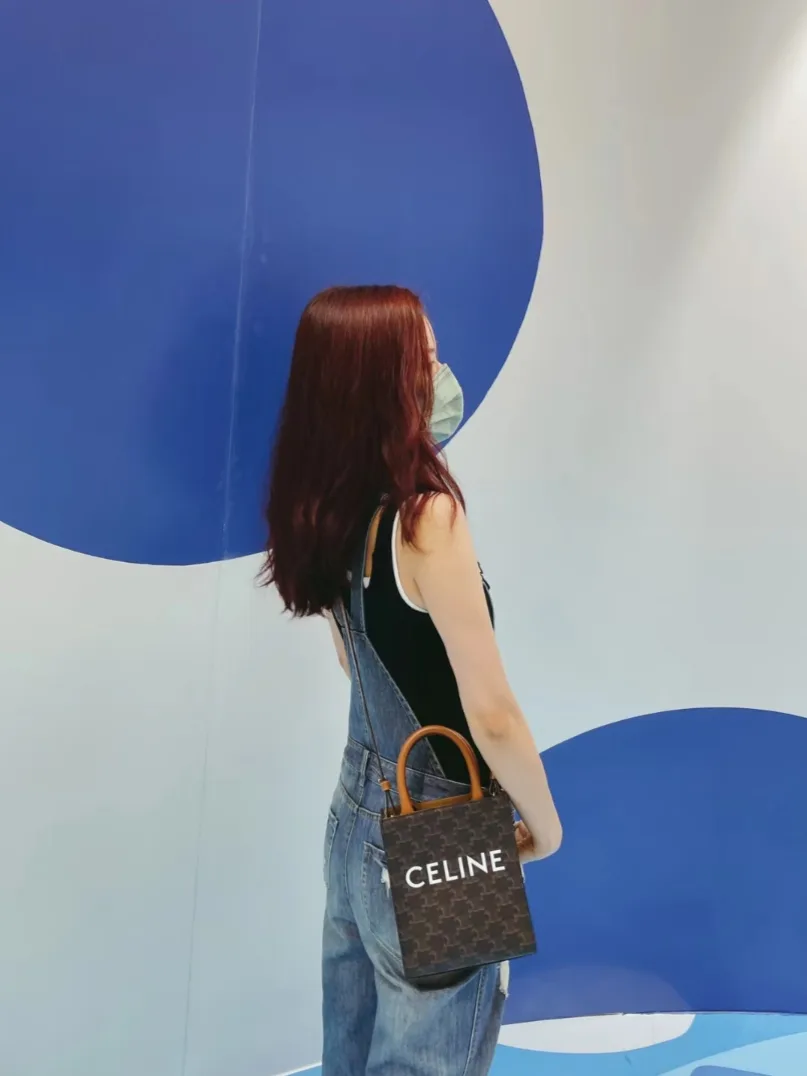 Классические Сумки Женские Celine 12604651