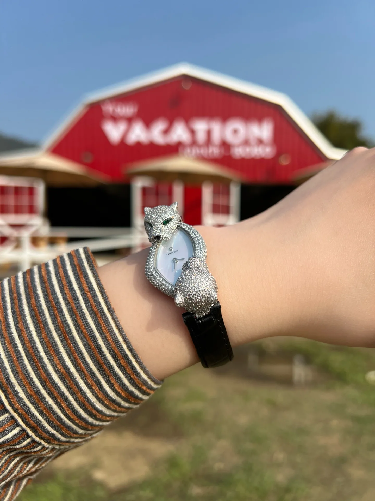 Часы Женские Cartier 11665254