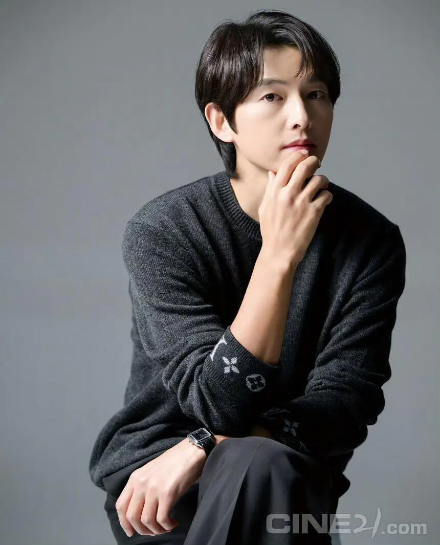 Свитеры Мужские Louis Vuitton 350517