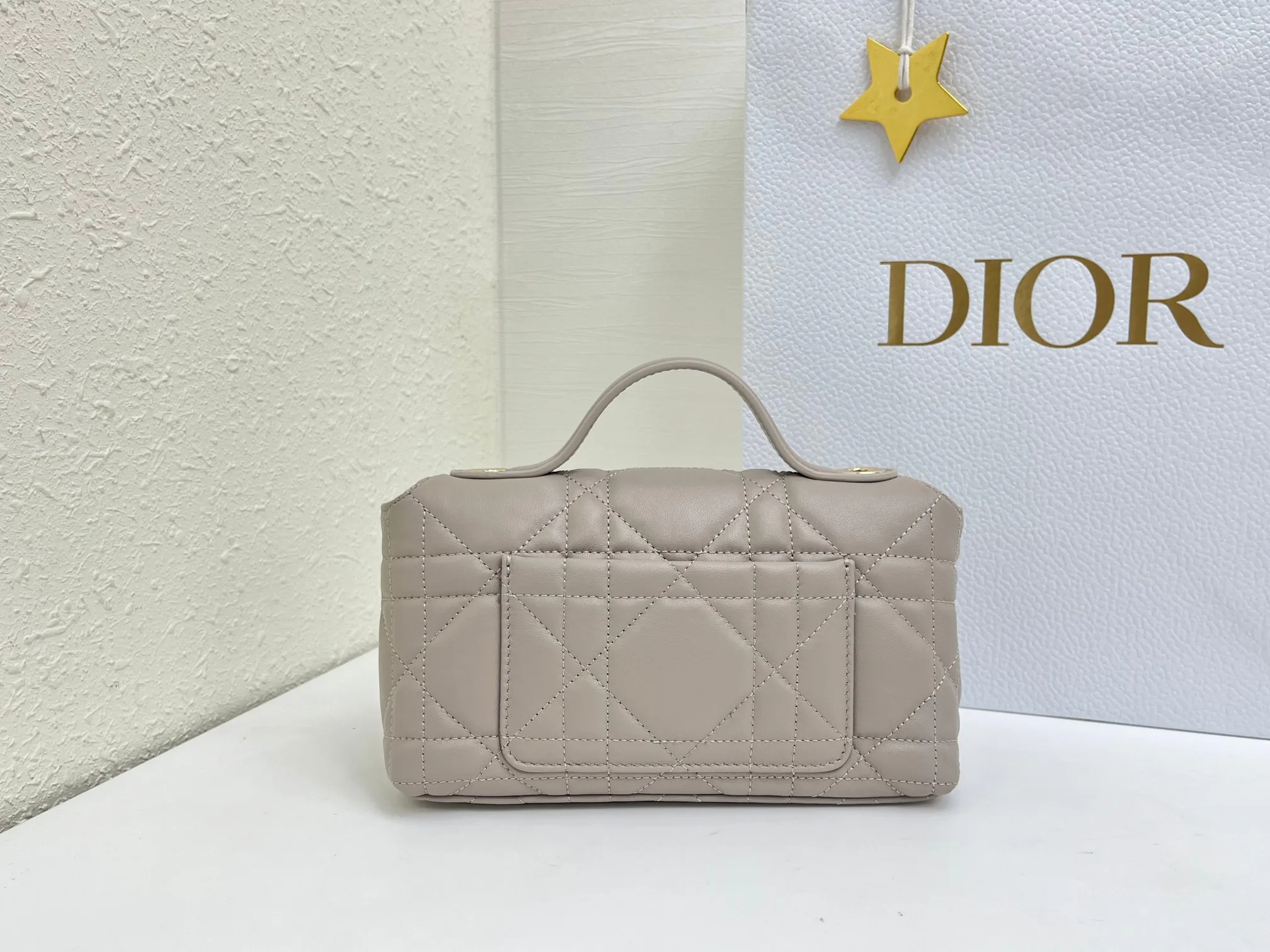 Классические Сумки Женские Christian Dior 17463905