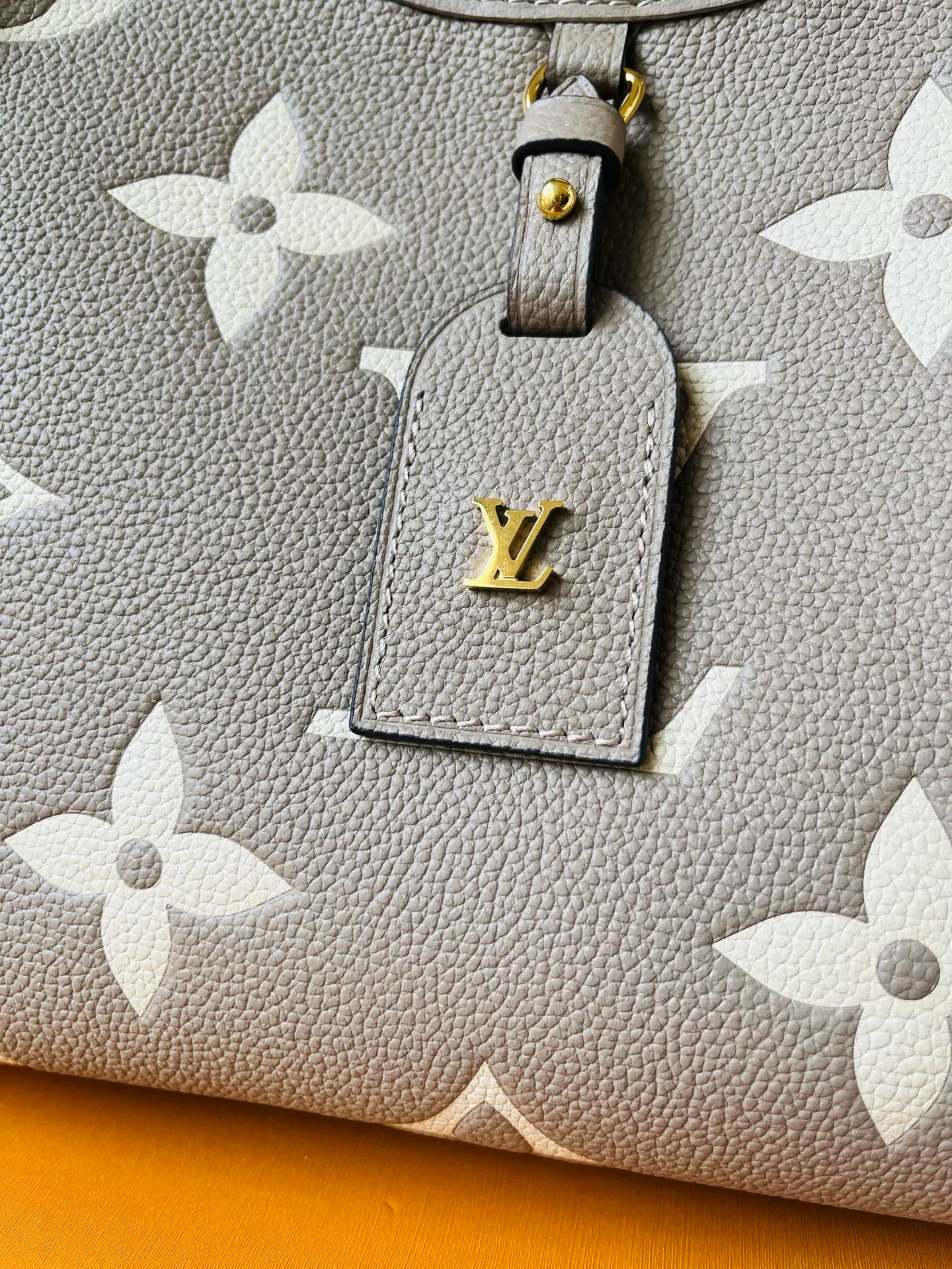 Классические Сумки Женские Louis Vuitton 12569324