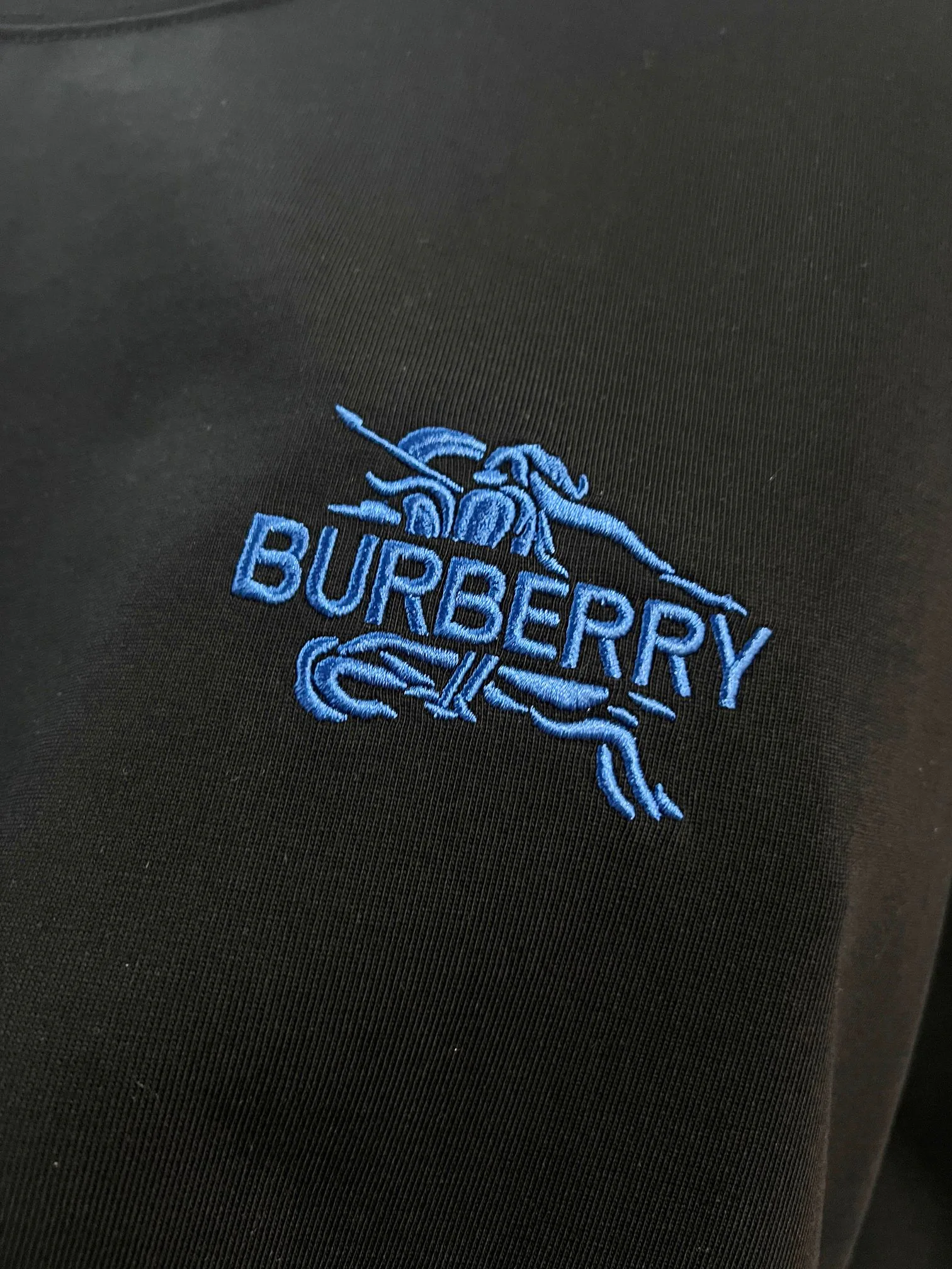 Футболки Женские Burberry 18000405