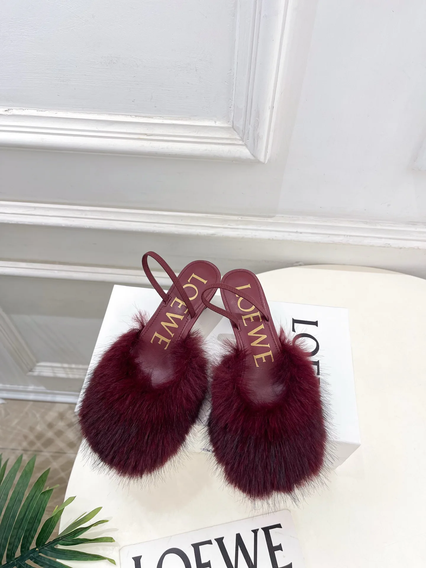 Туфли Женские Loewe 496297