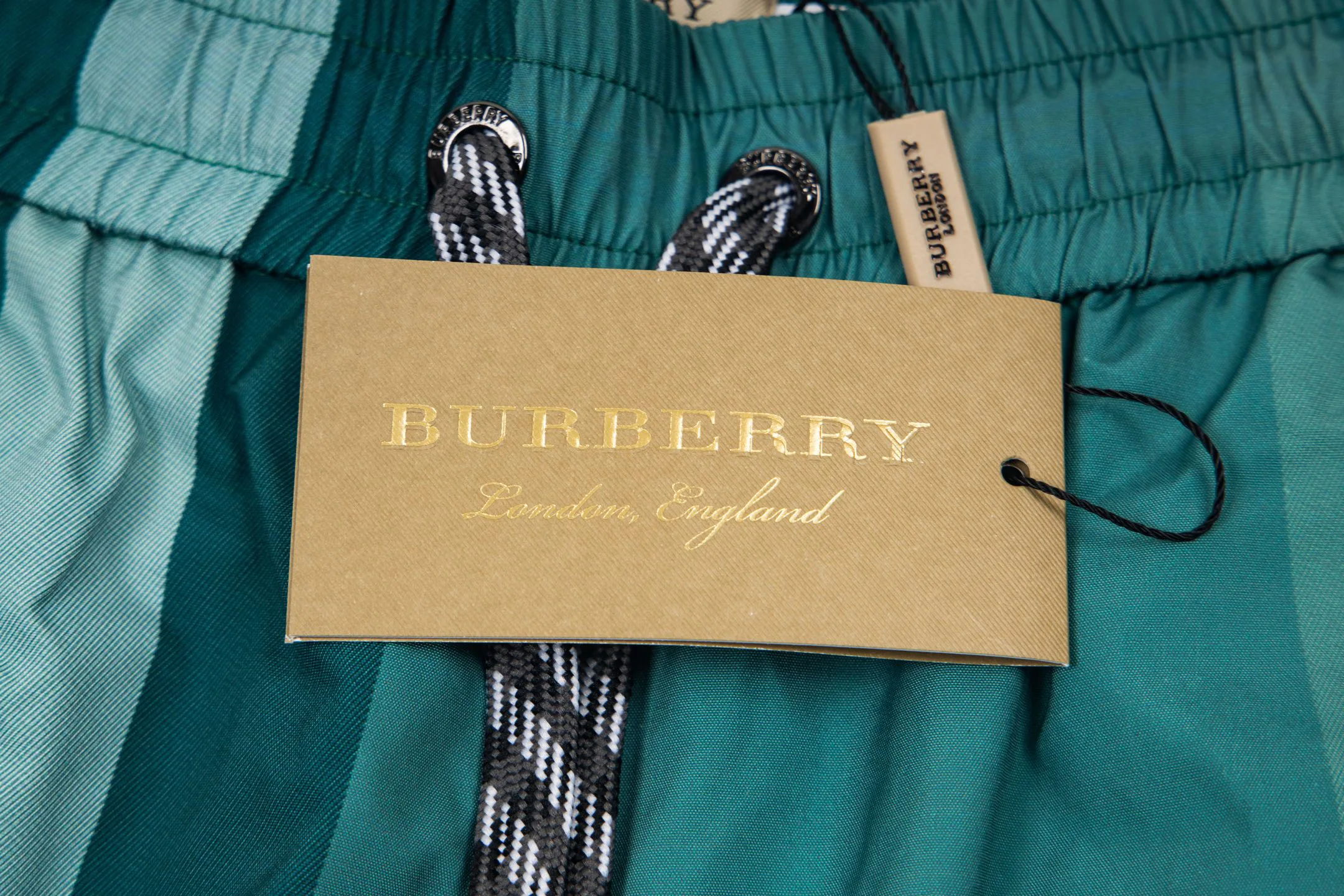 Шорты Мужские Burberry 18000519