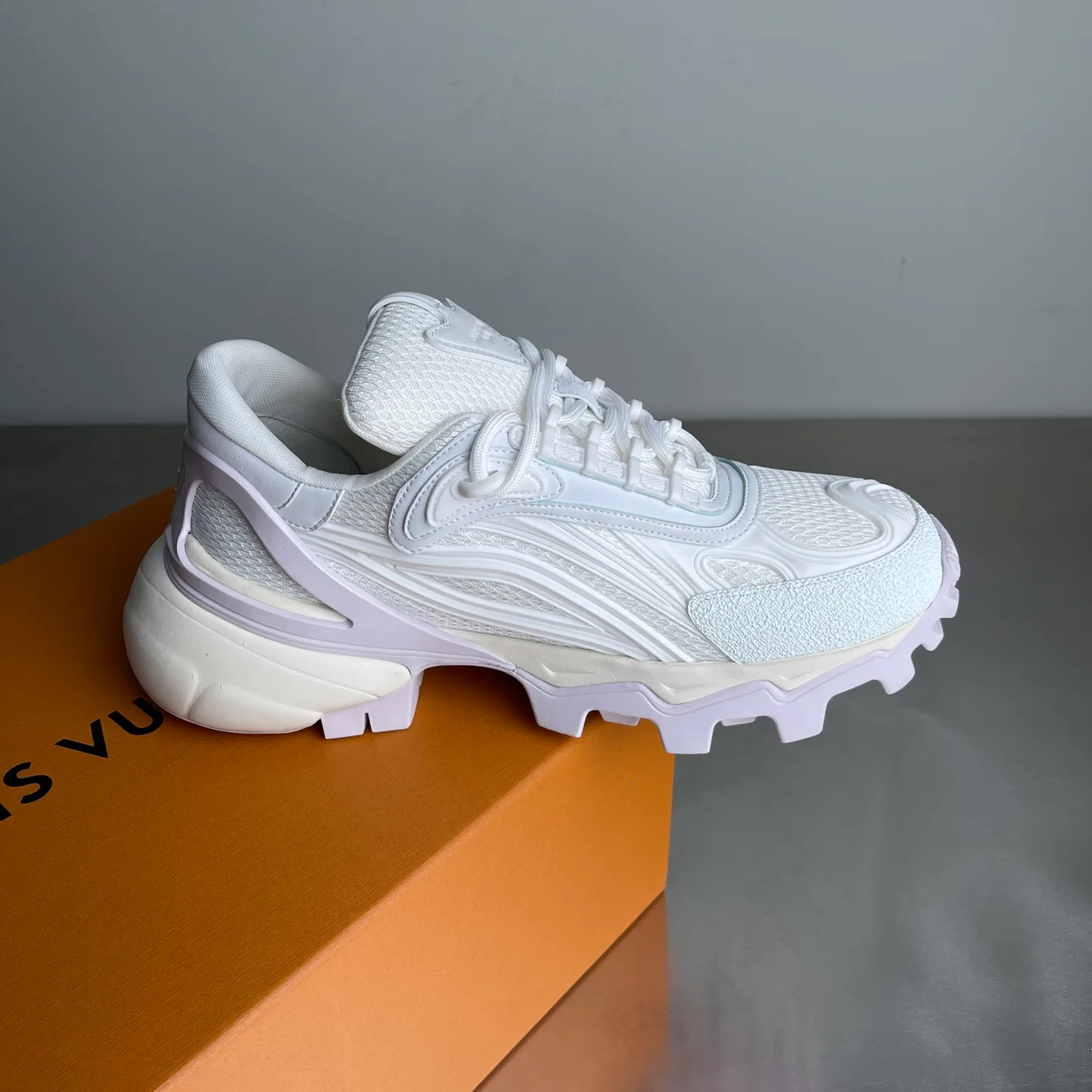 Кроссовки Мужские Louis Vuitton 1049823