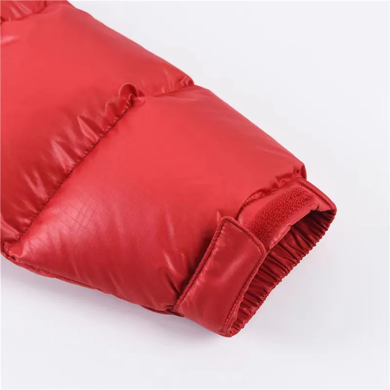 Куртки И Пуховики Женские The North Face 19297016