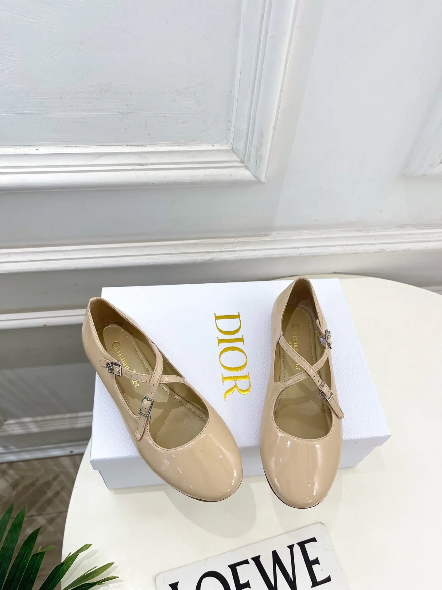 Балетки Женские Christian Dior 12601471