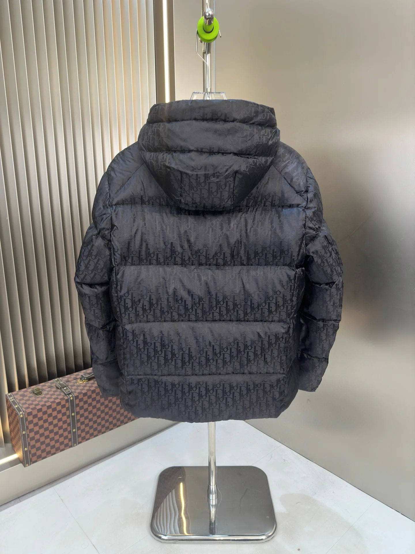 Пуховики Мужские Christian Dior 107919