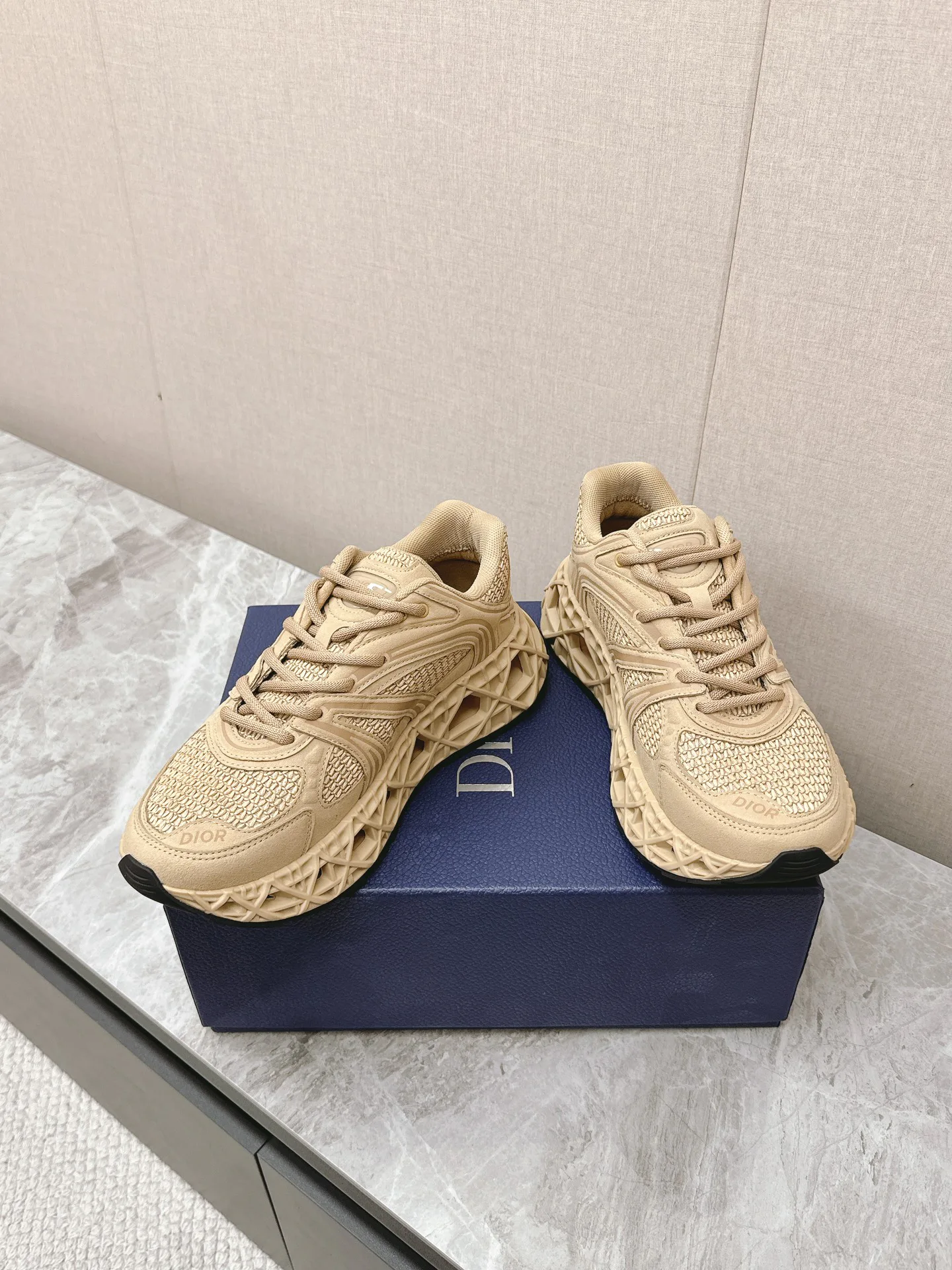 Кроссовки Мужские Christian Dior 22153