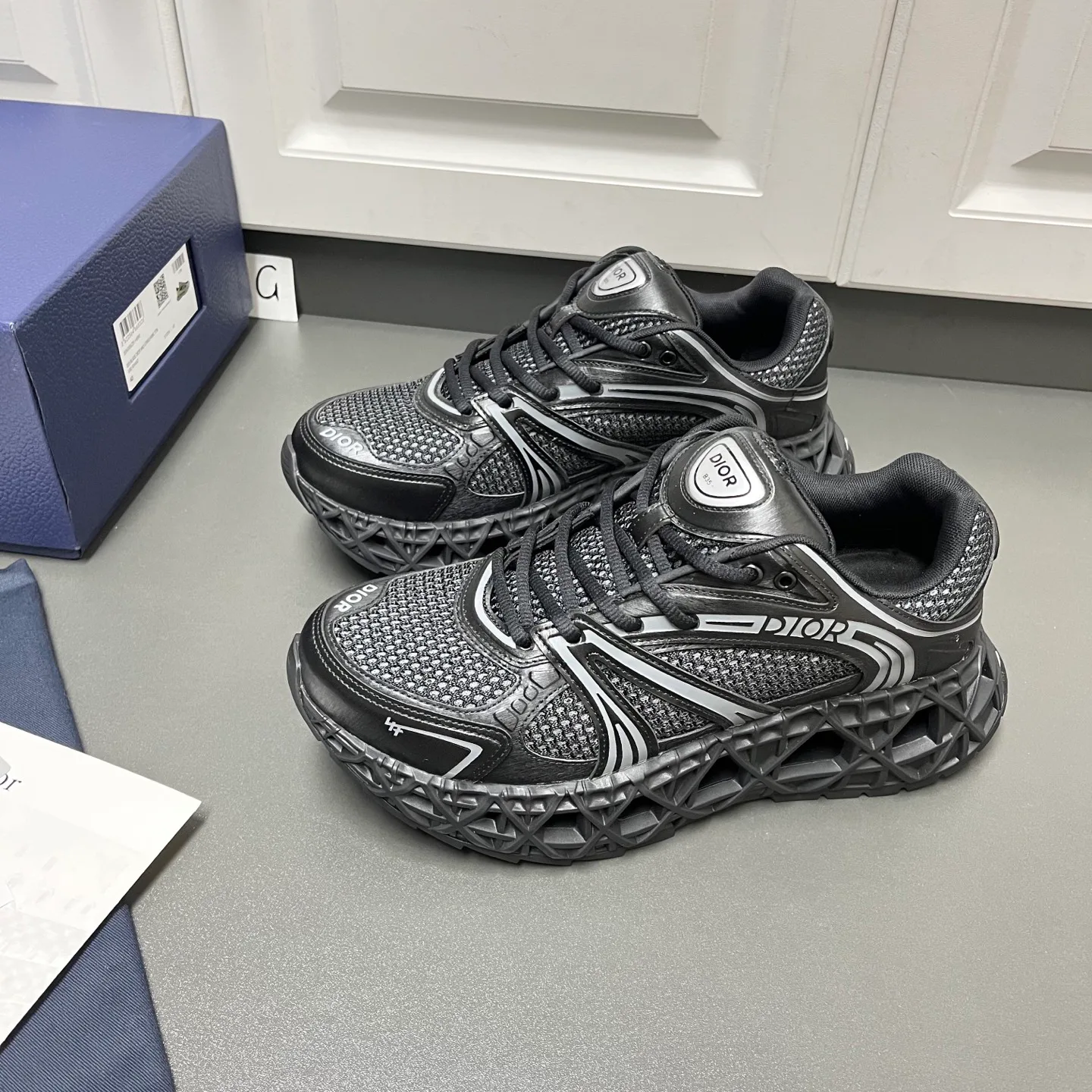 Кроссовки Мужские Christian Dior 11456601