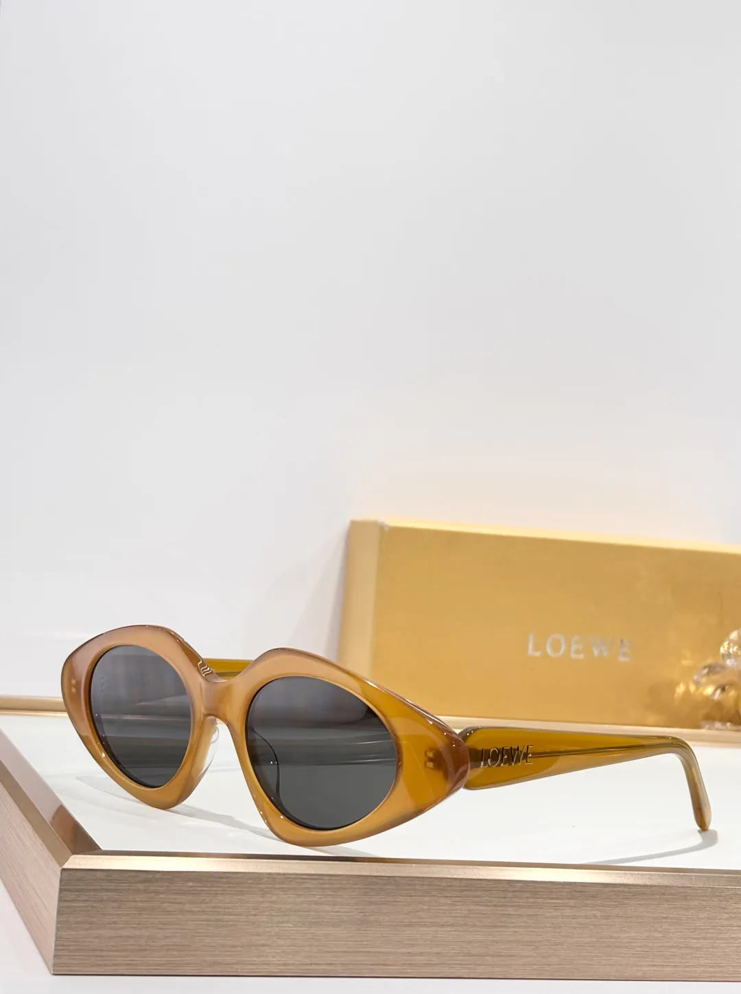 Очки Женские Loewe 6253697